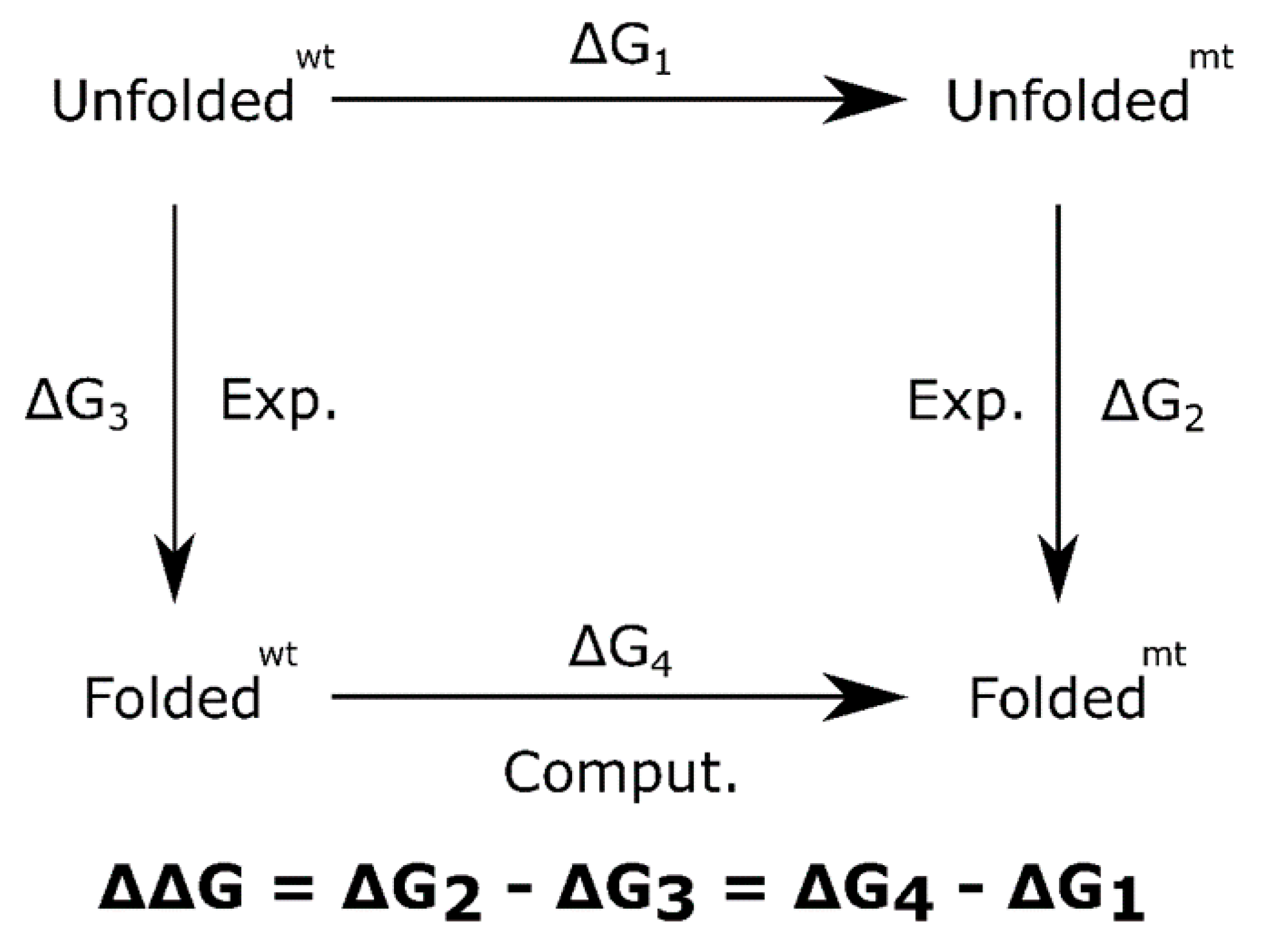 Ijms 22 12861 g007 550