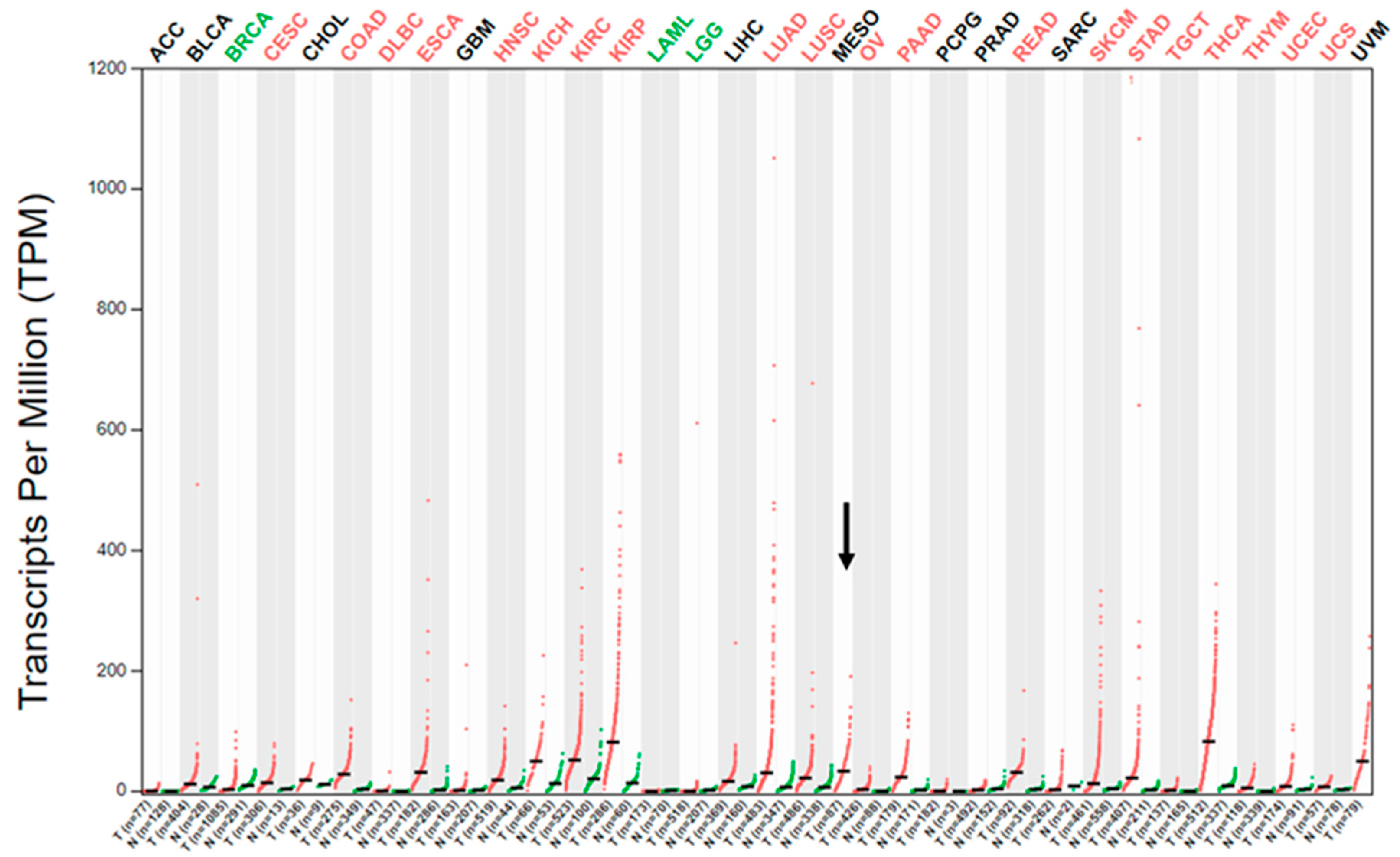 Ijms 22 12868 g001 550