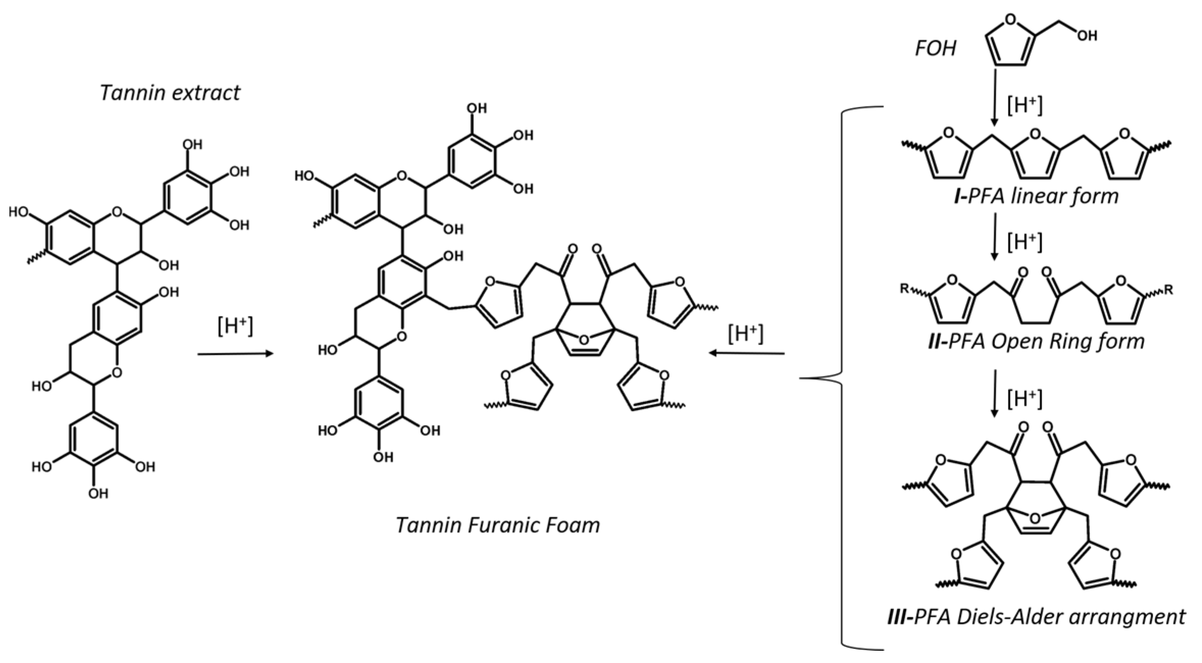 Ijms 22 12869 g001 Ijms 22 12869 g001