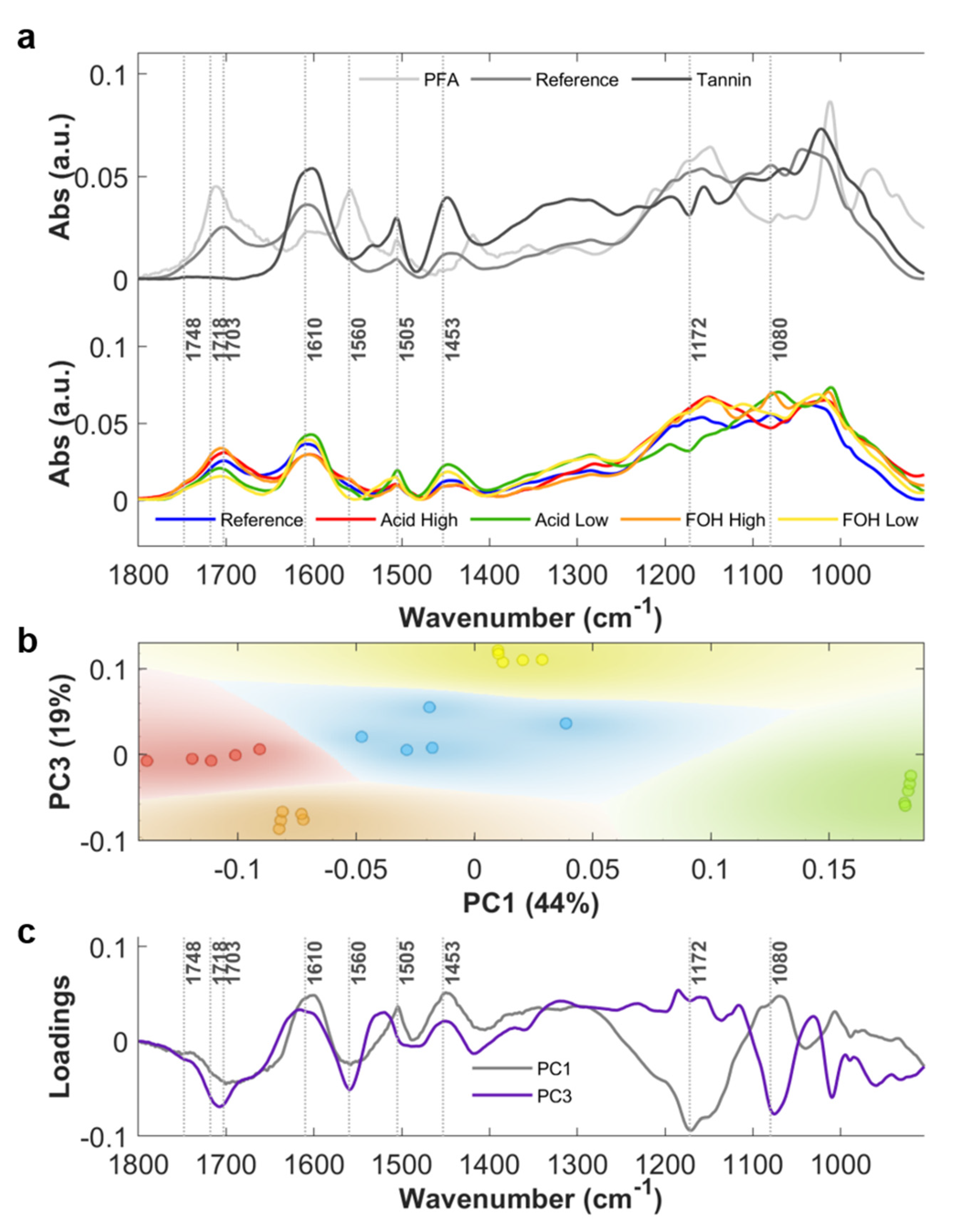 Ijms 22 12869 g002 Ijms 22 12869 g002