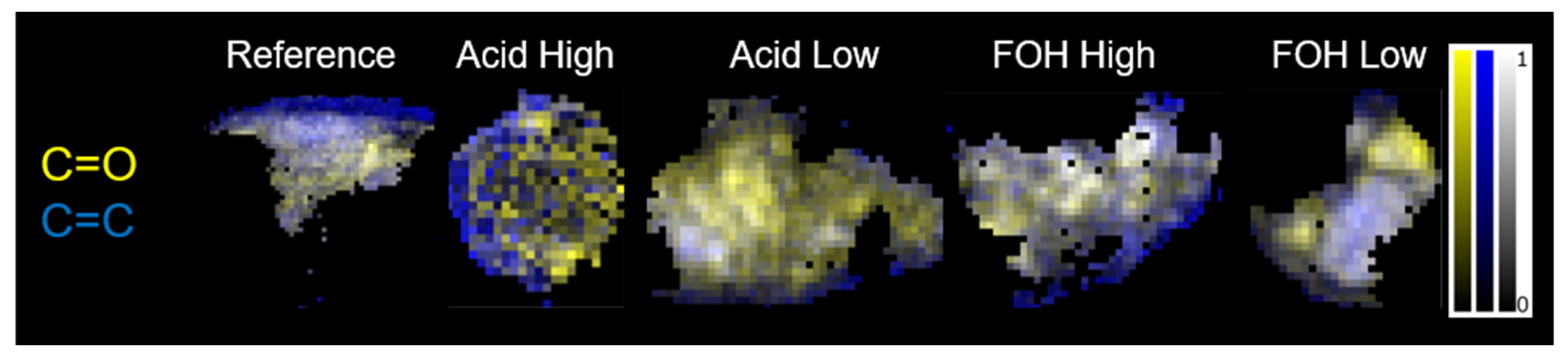 Ijms 22 12869 g003 Ijms 22 12869 g003