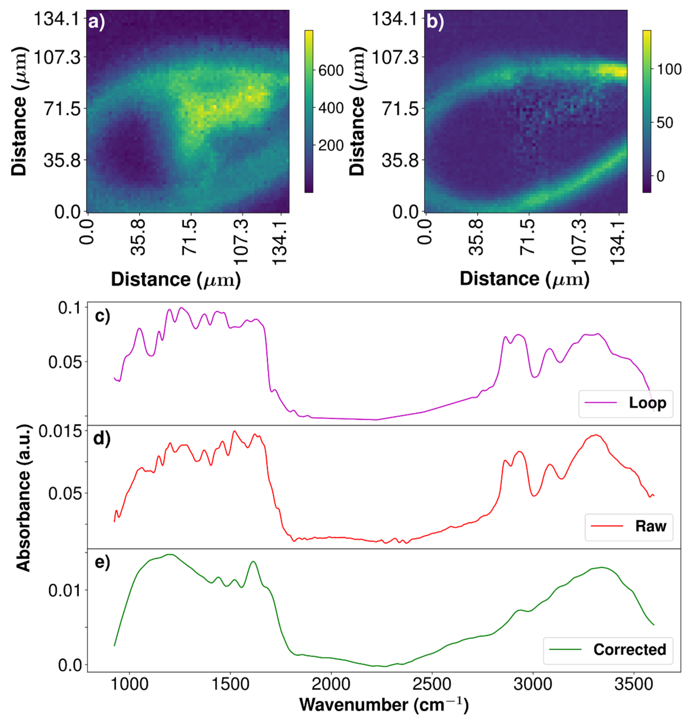 Ijms 22 12869 g0a3 Ijms 22 12869 g0a3