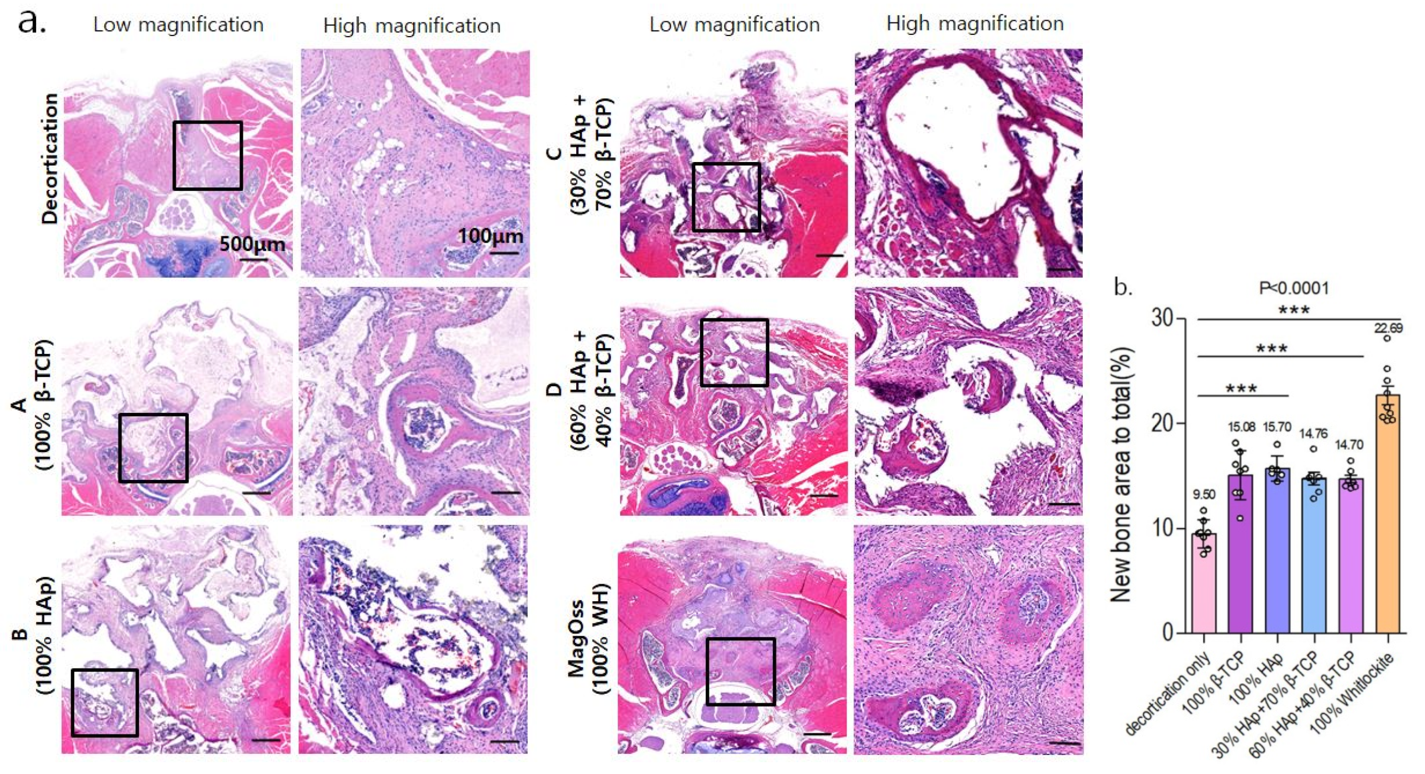 Ijms 22 12875 g008 550