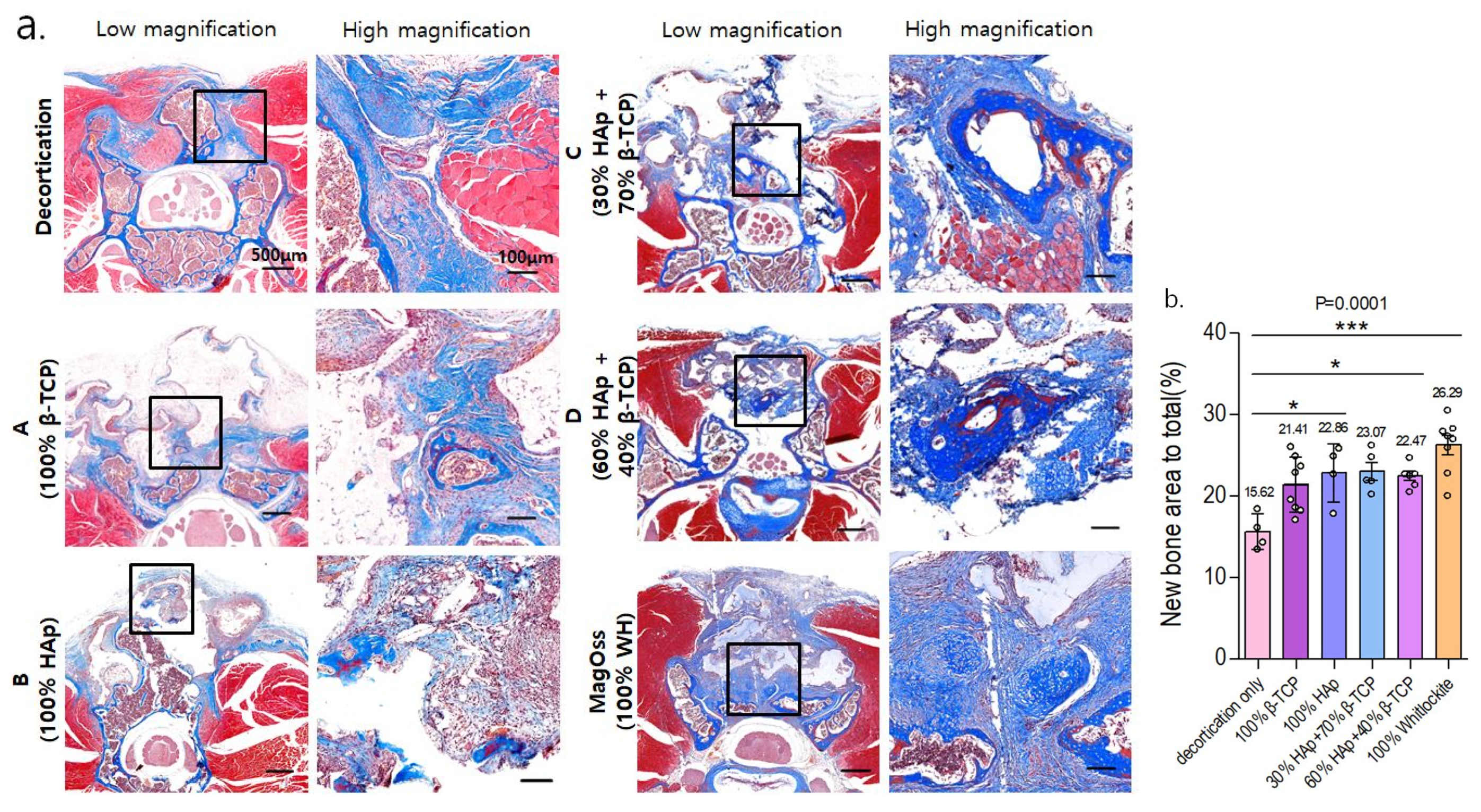 Ijms 22 12875 g009 550