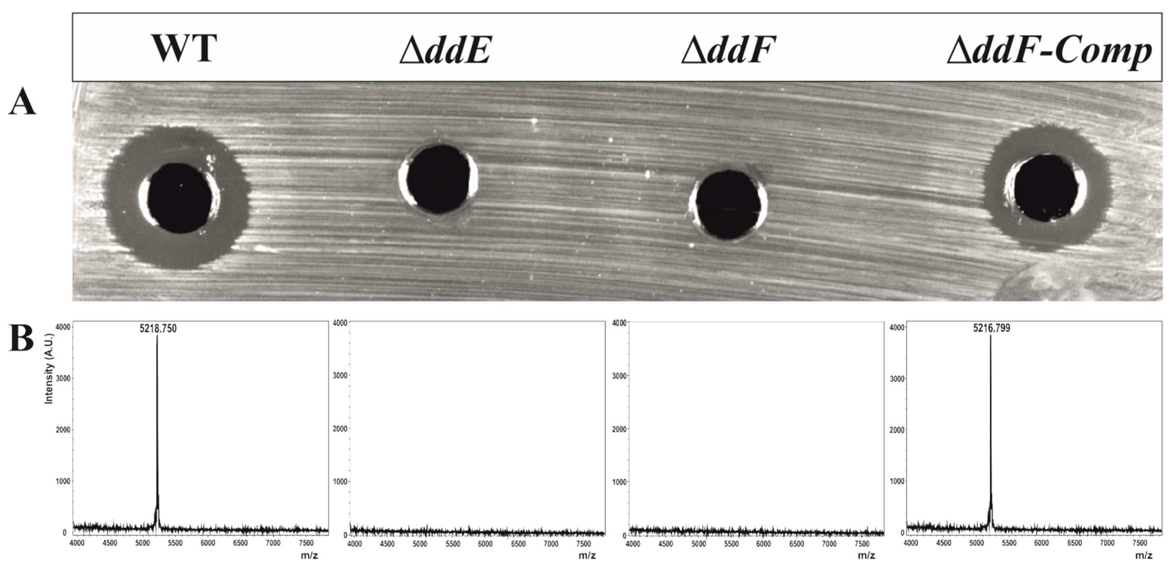 Ijms 22 12877 g002 Ijms 22 12877 g002