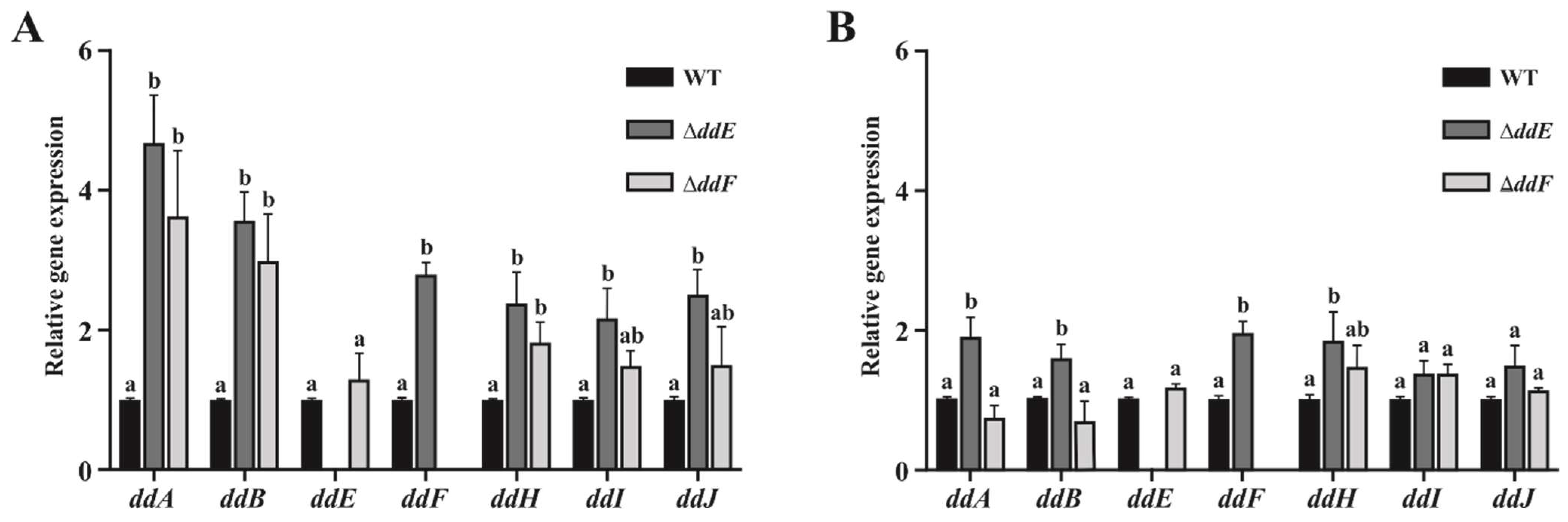 Ijms 22 12877 g003 Ijms 22 12877 g003
