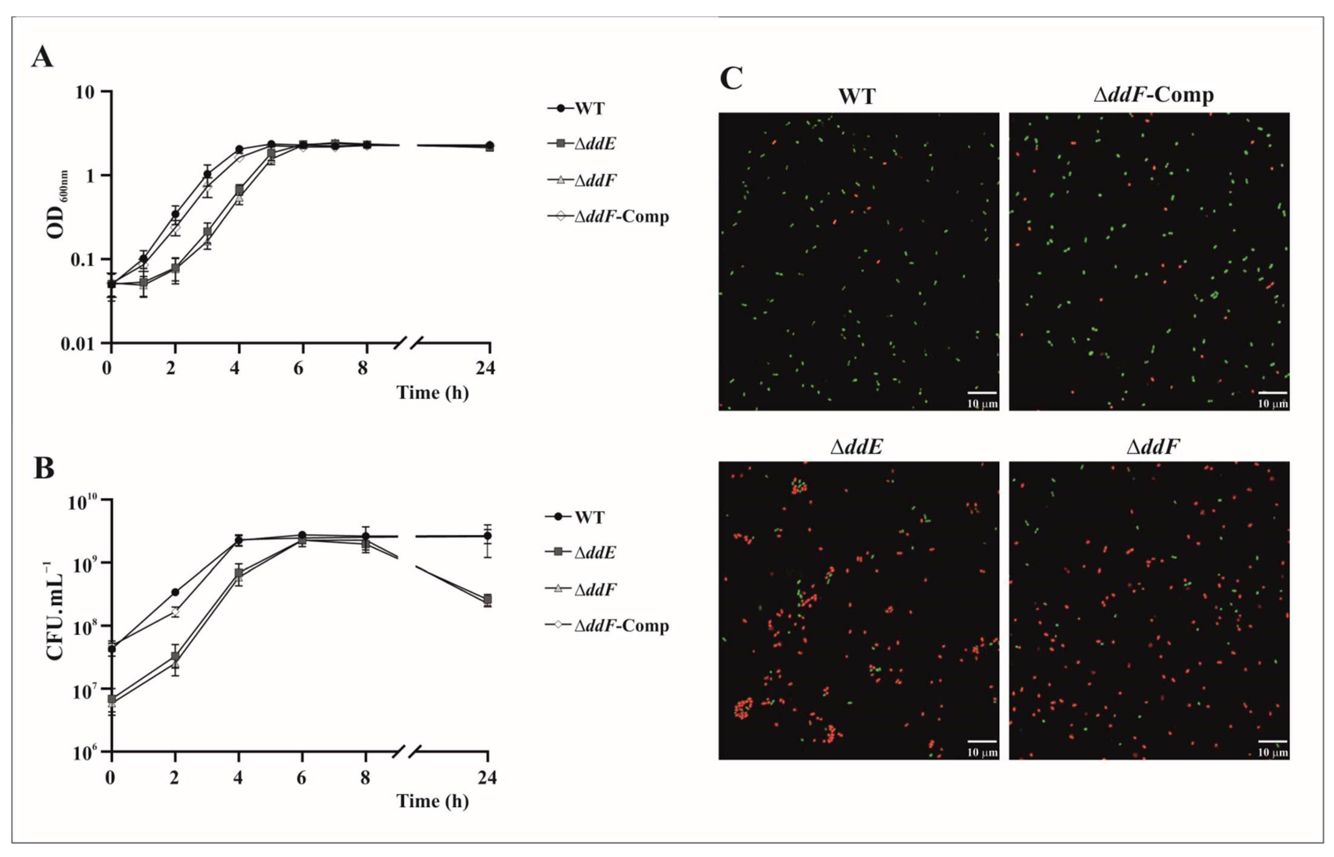 Ijms 22 12877 g005 Ijms 22 12877 g005