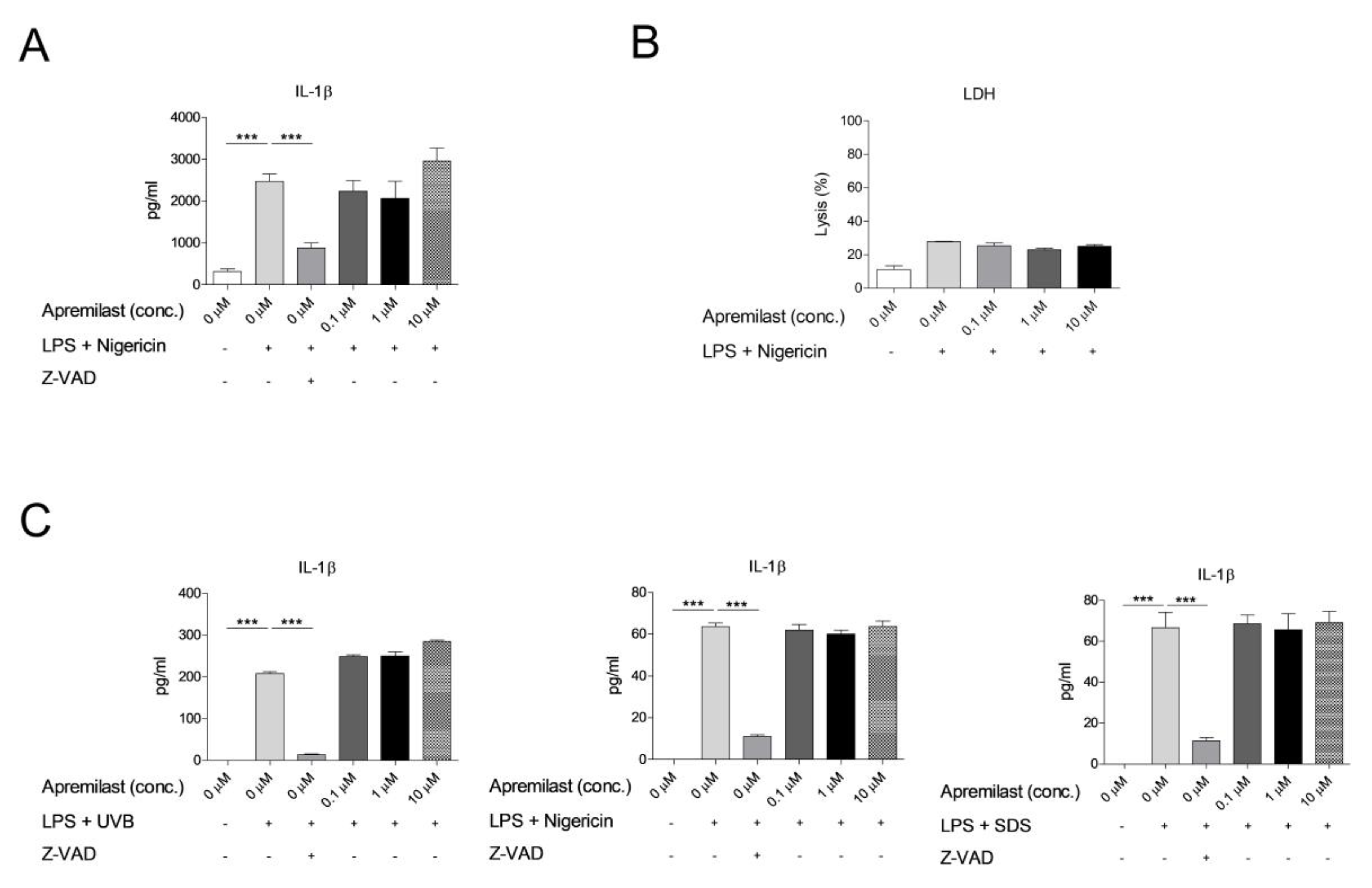 Ijms 22 12878 g004 550