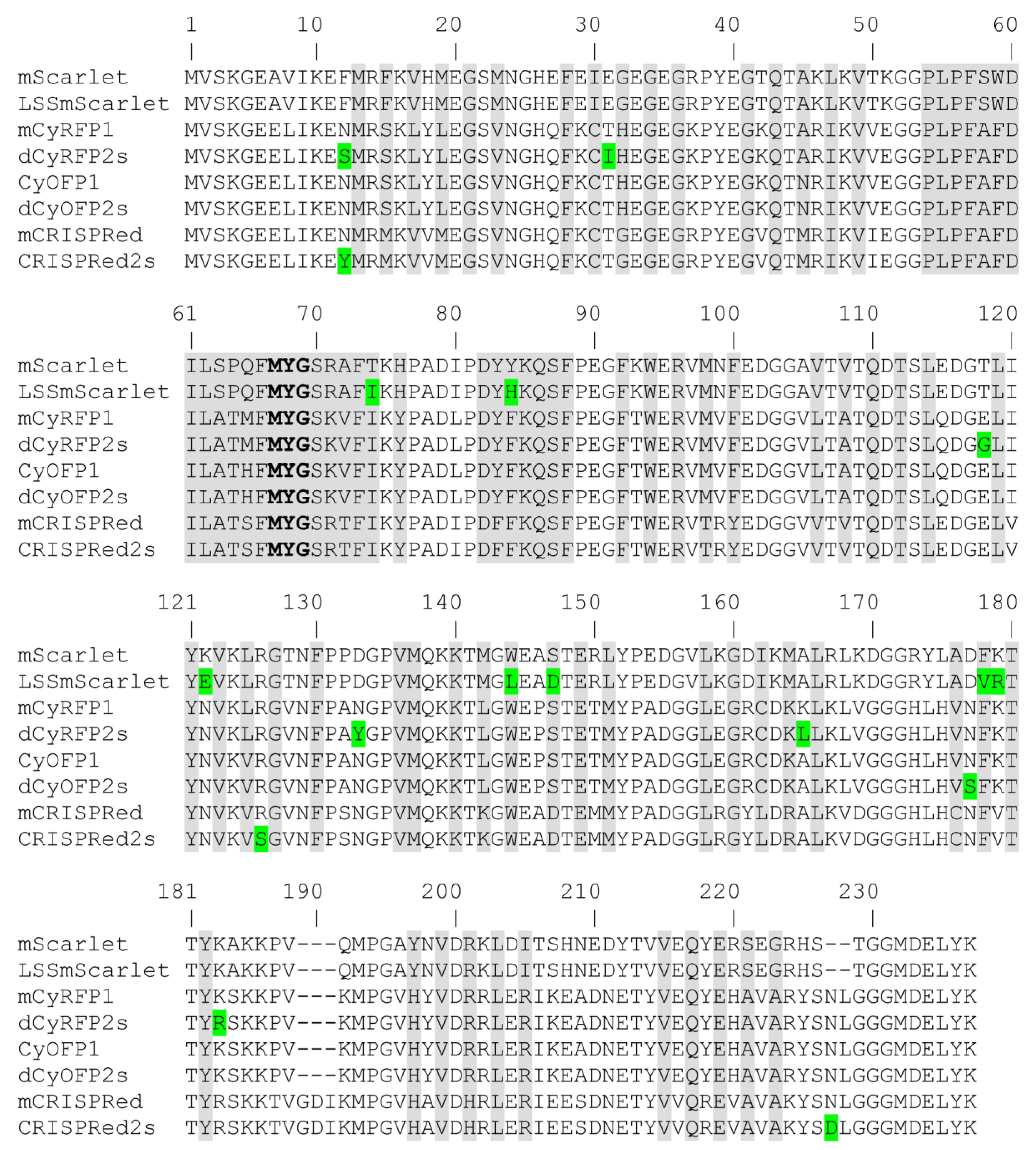 Ijms 22 12887 g001 550