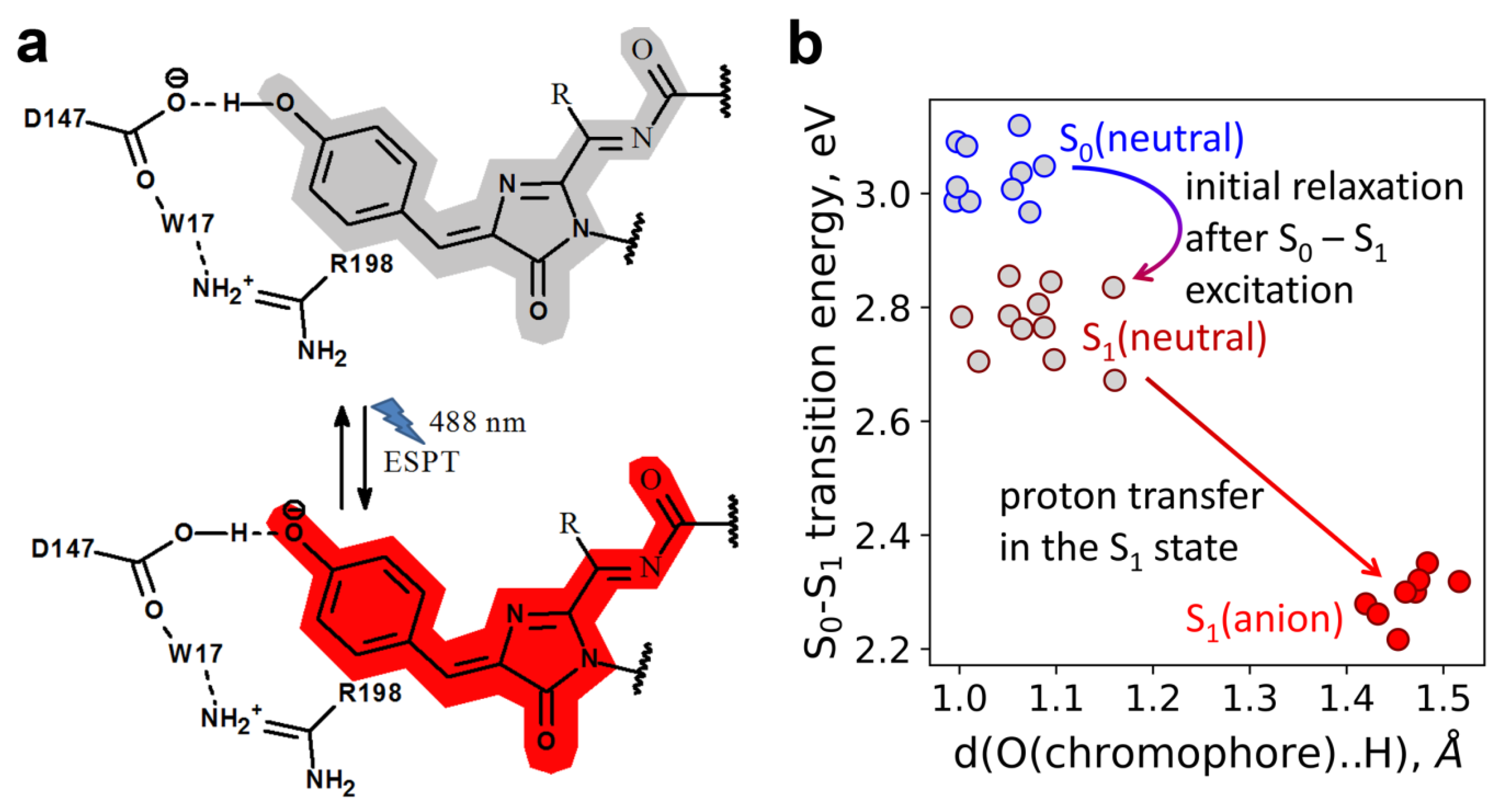 Ijms 22 12887 g006 550