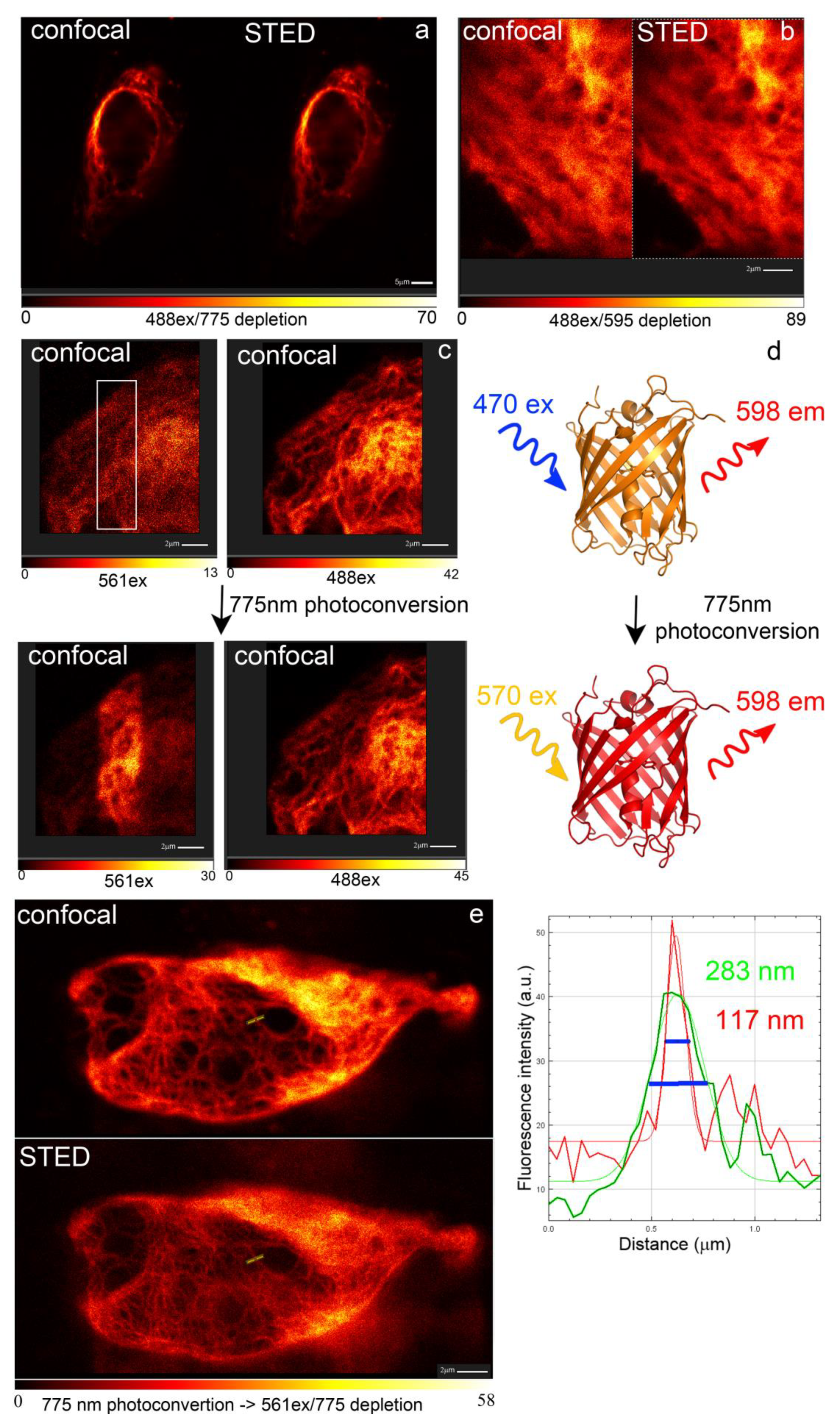 Ijms 22 12887 g011 550