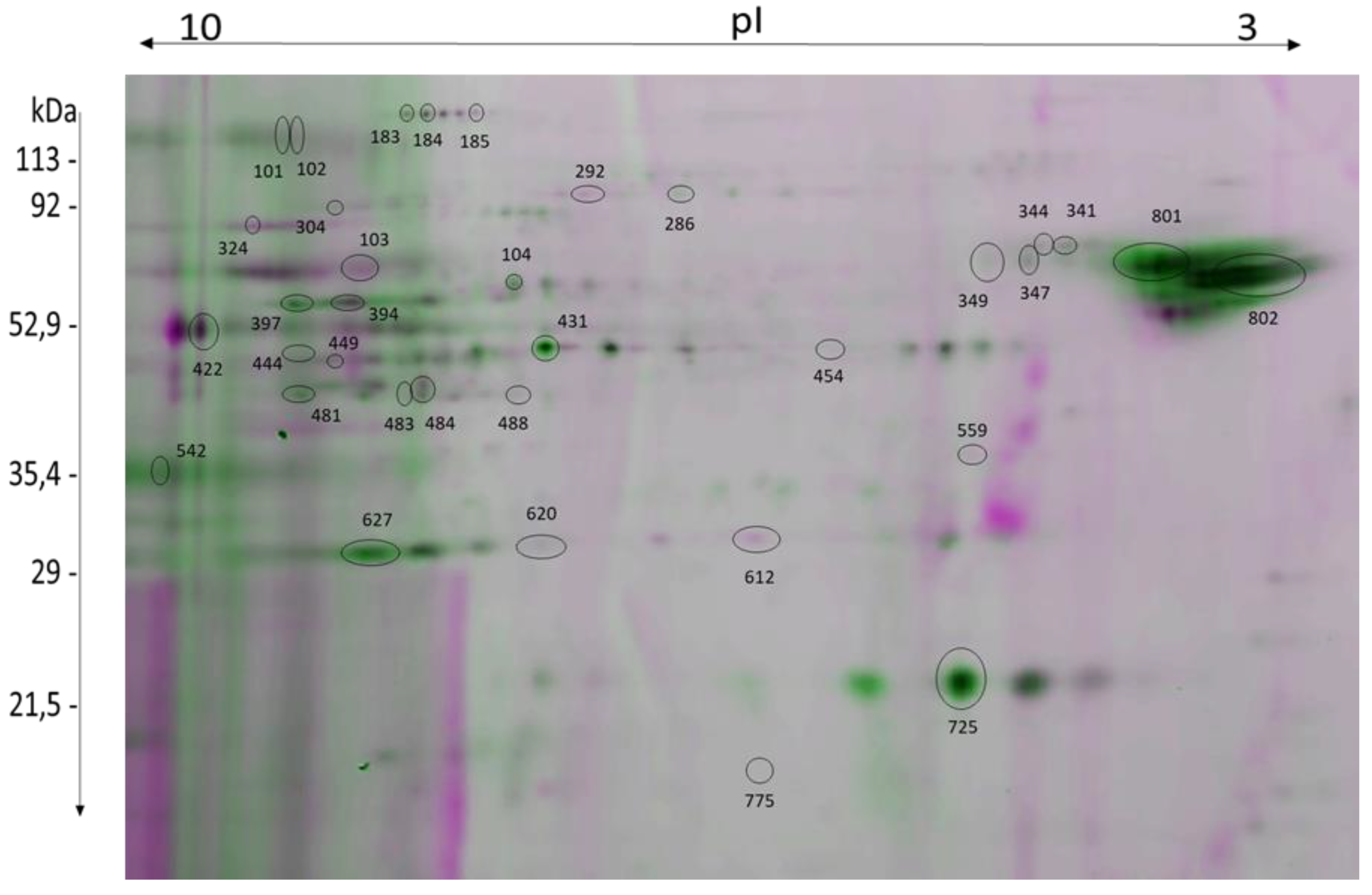 Ijms 22 12888 g005 550