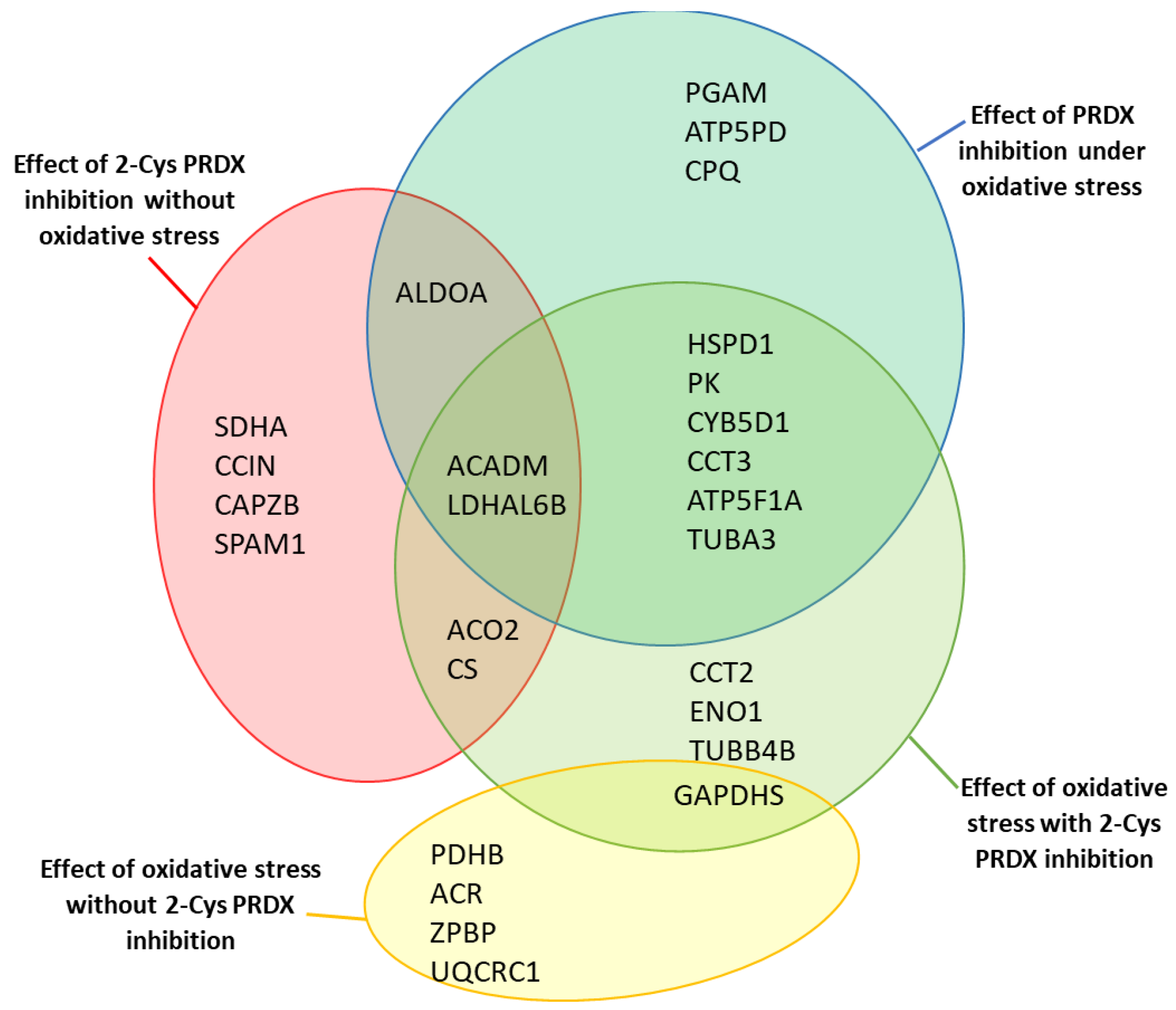 Ijms 22 12888 g007 550