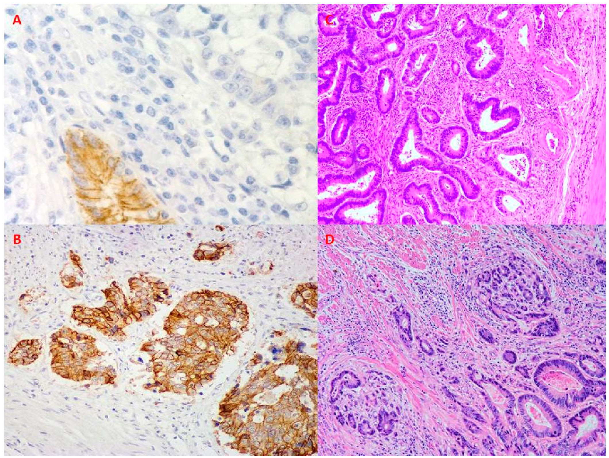 Ijms 22 12891 g004 550