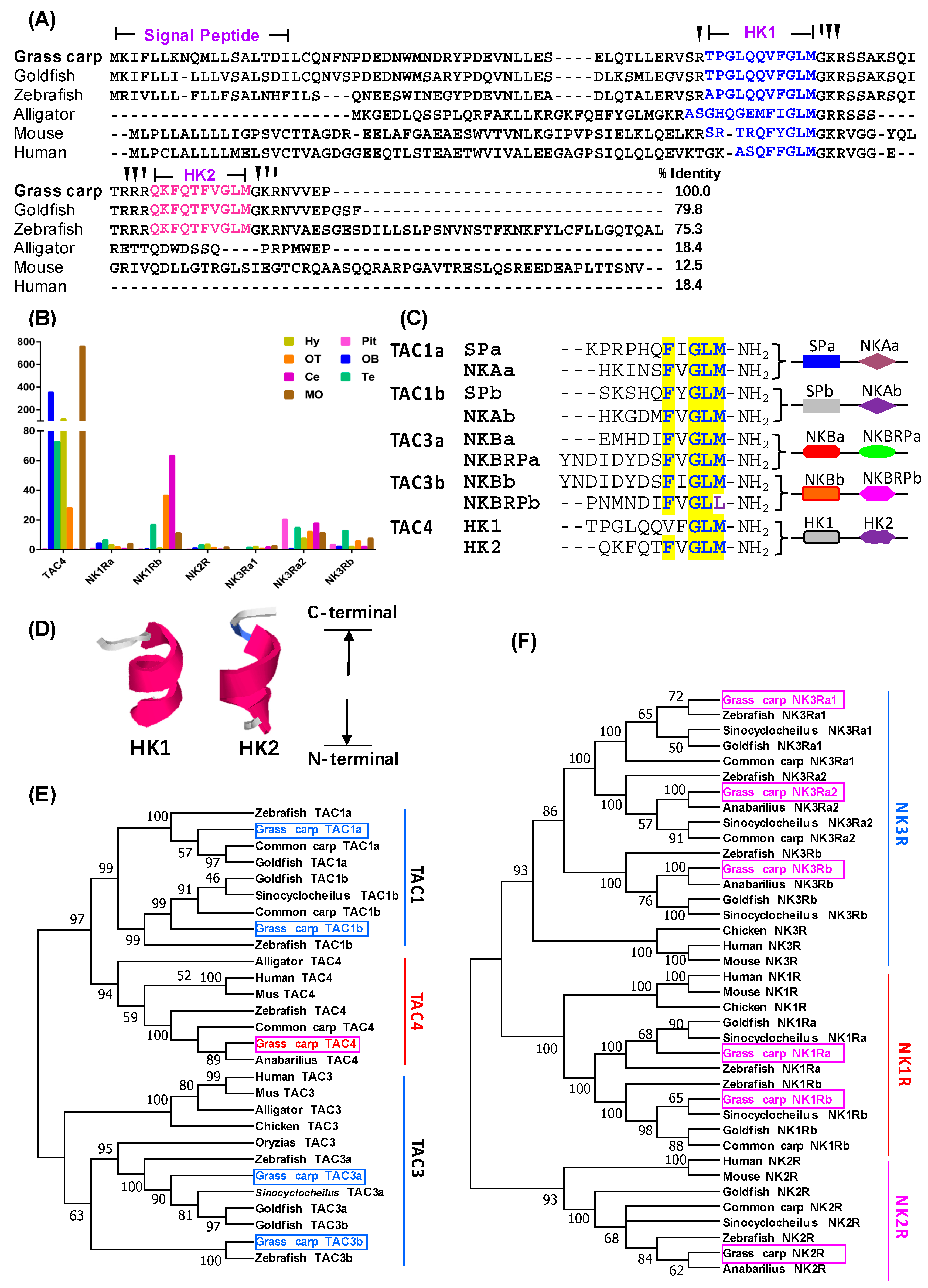 Ijms 22 12893 g001 550