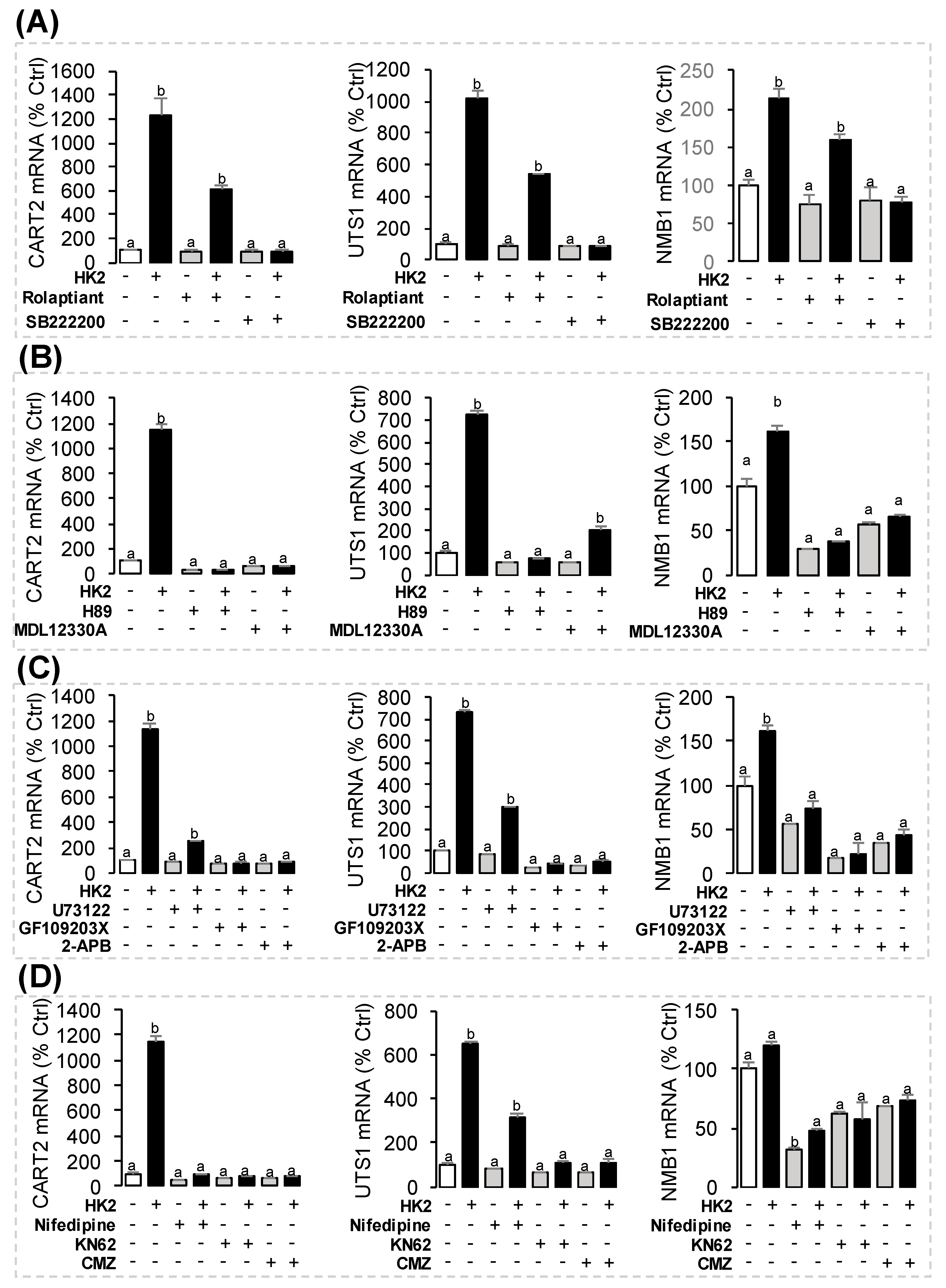 Ijms 22 12893 g008 550