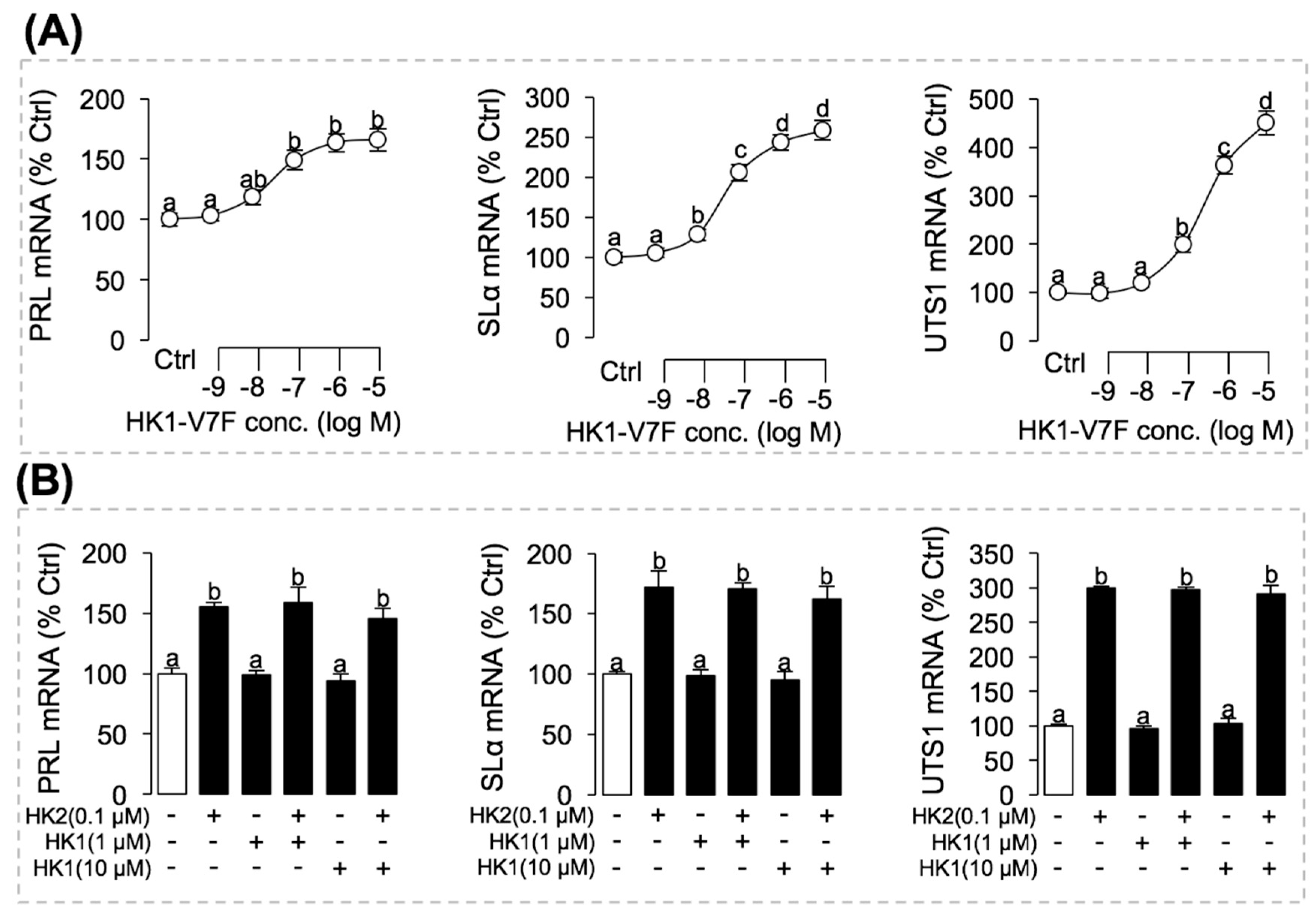 Ijms 22 12893 g009 550