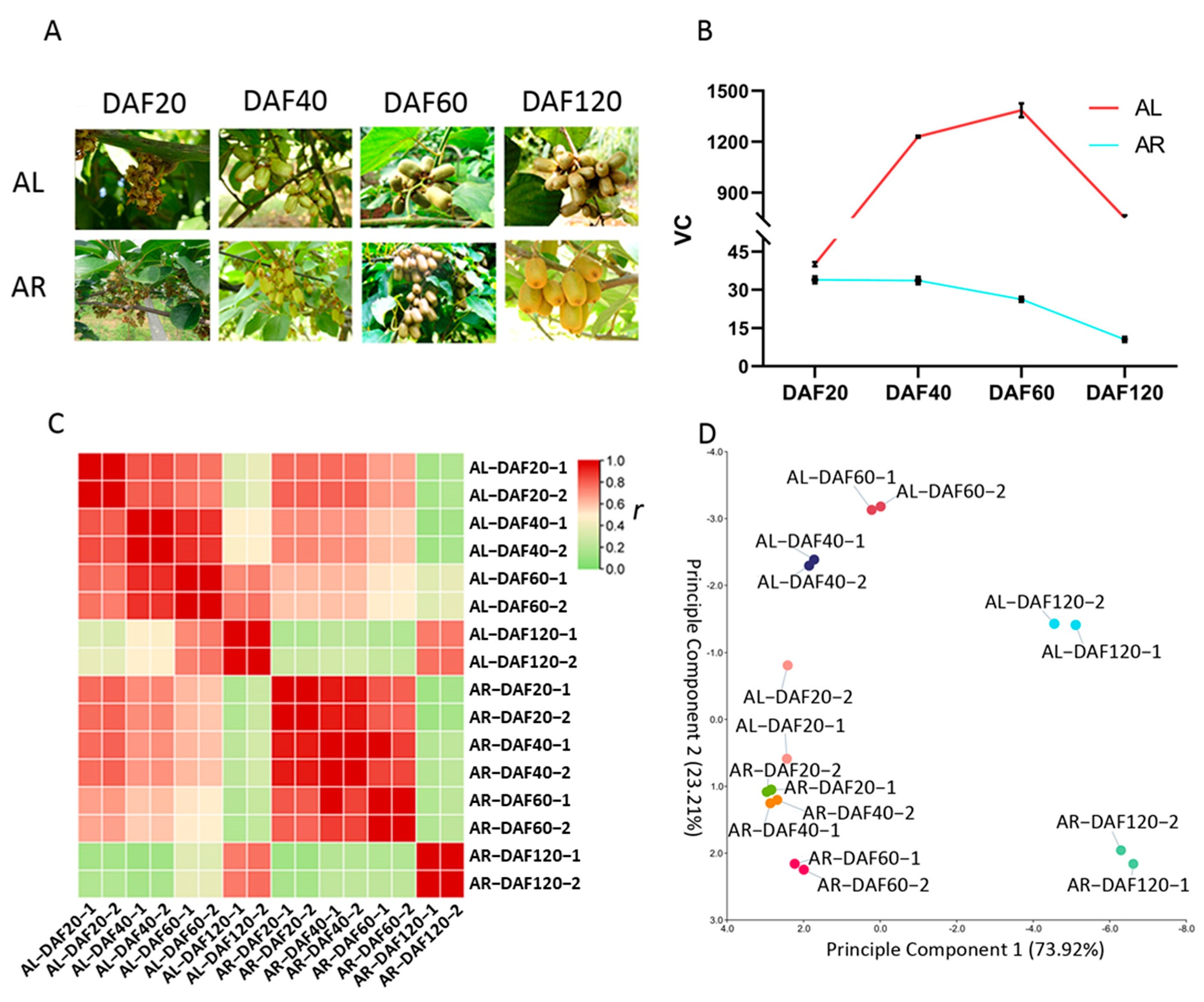 Ijms 22 12894 g001 550