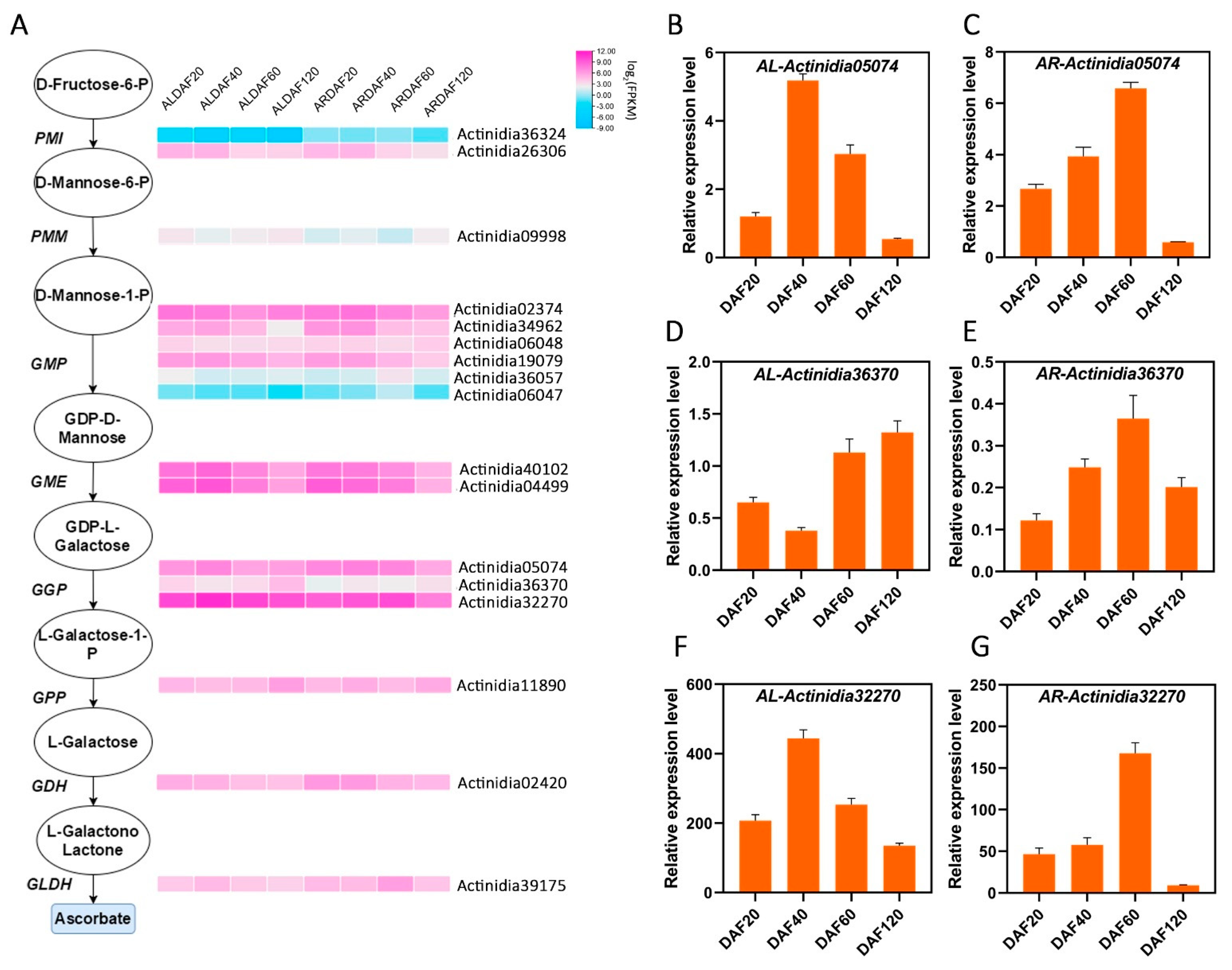 Ijms 22 12894 g004 550