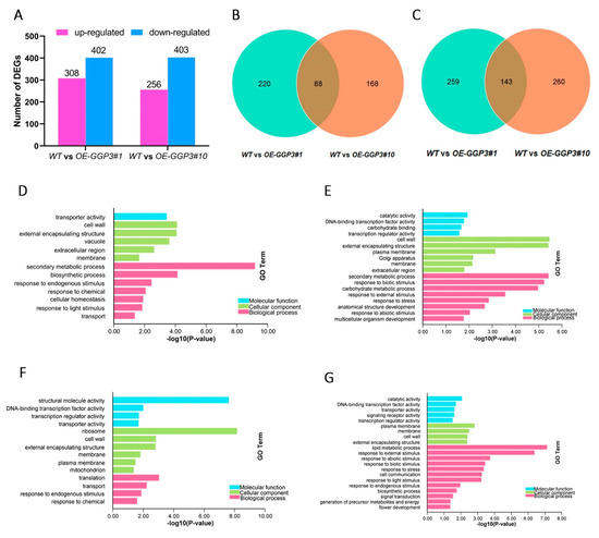 Comparative Transcriptome Analysis Revealed the Key Genes Regulating ...