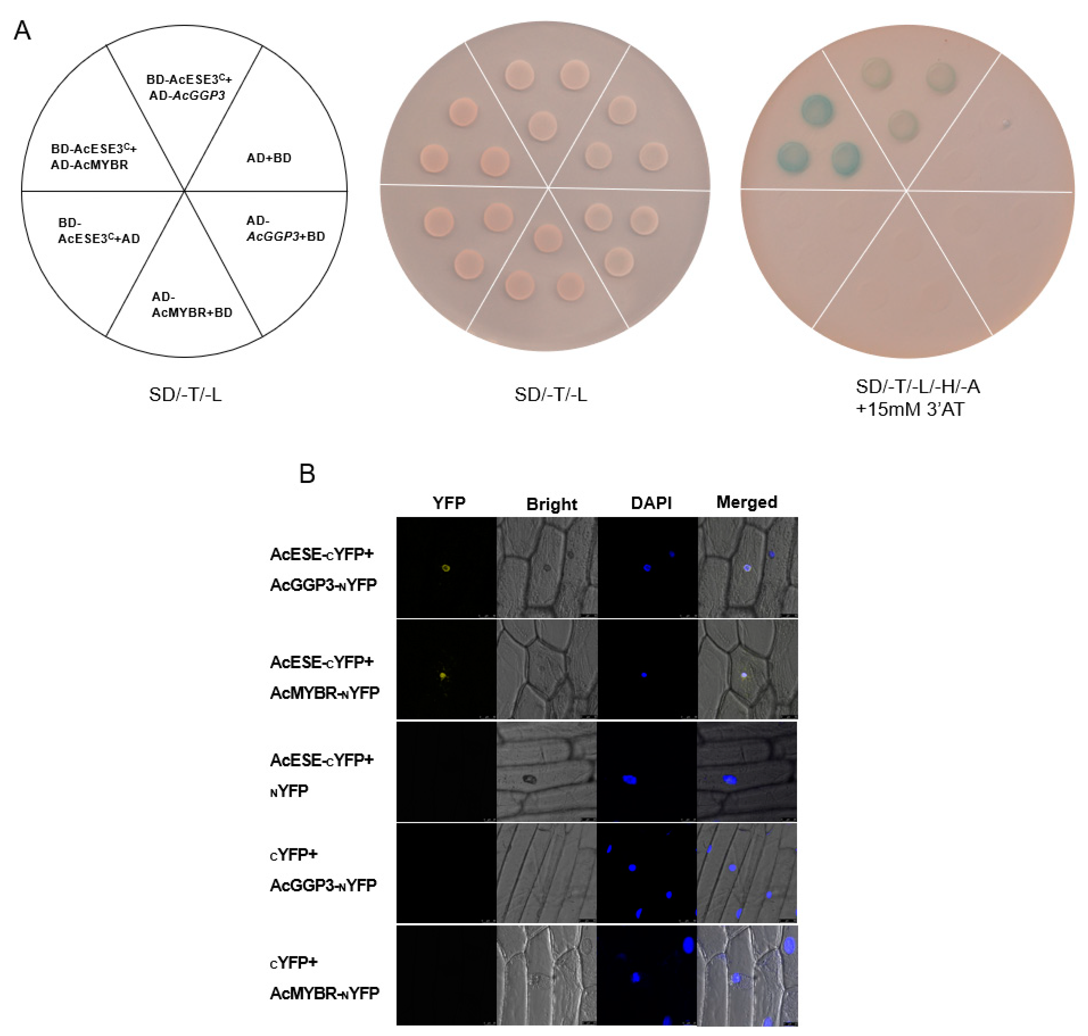 Ijms 22 12894 g008 550