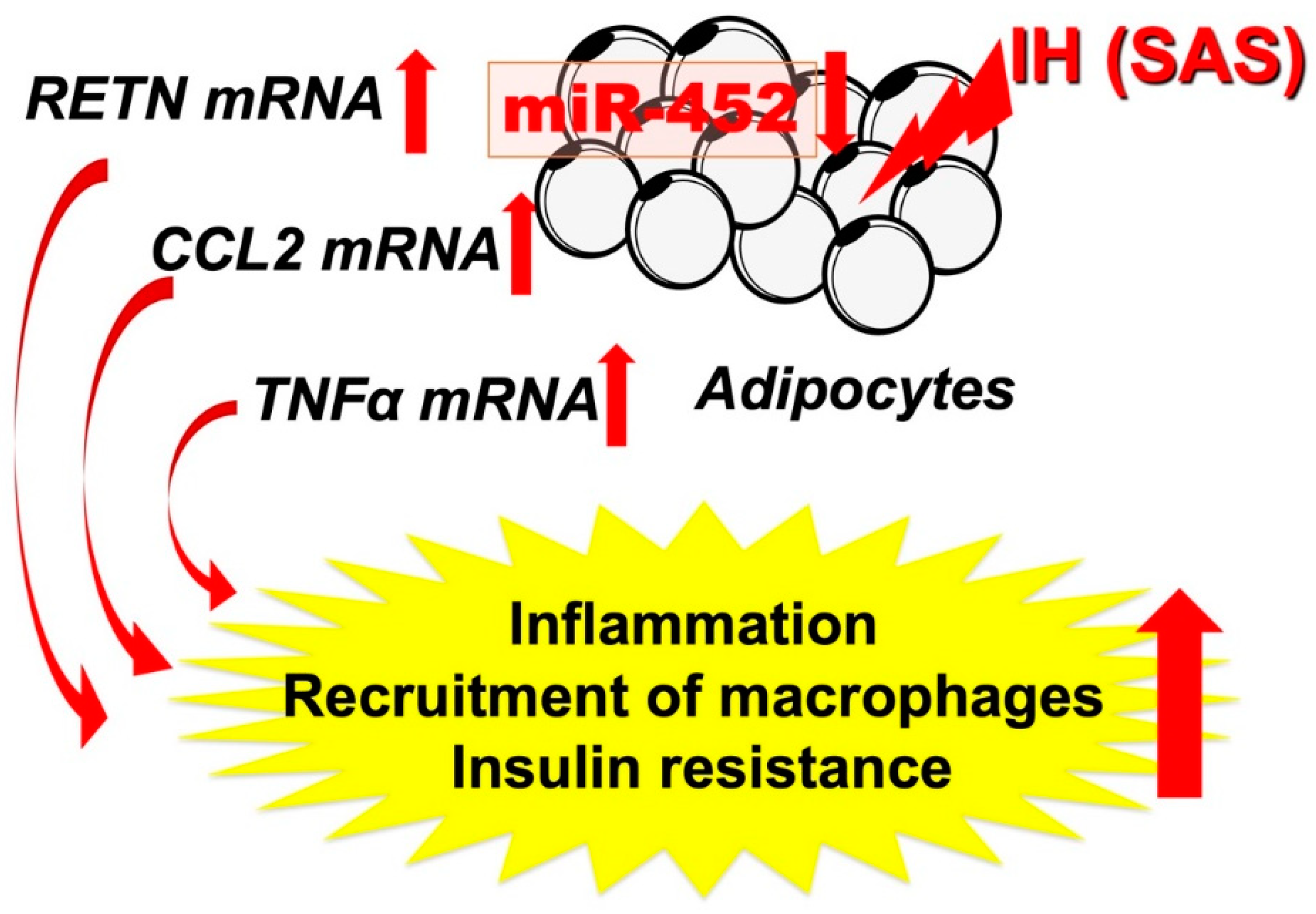 Ijms 22 12898 g002 550