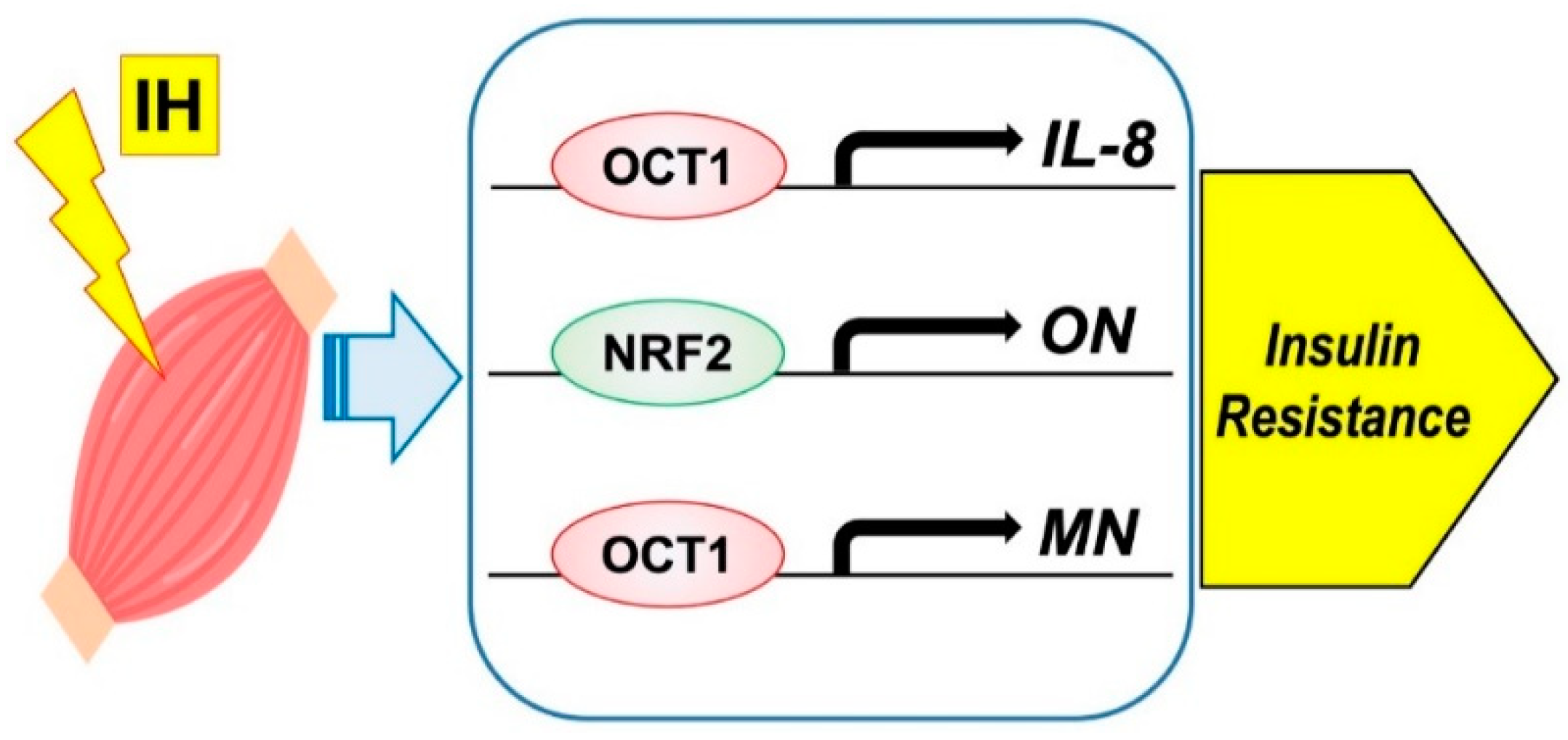 Ijms 22 12898 g003 550