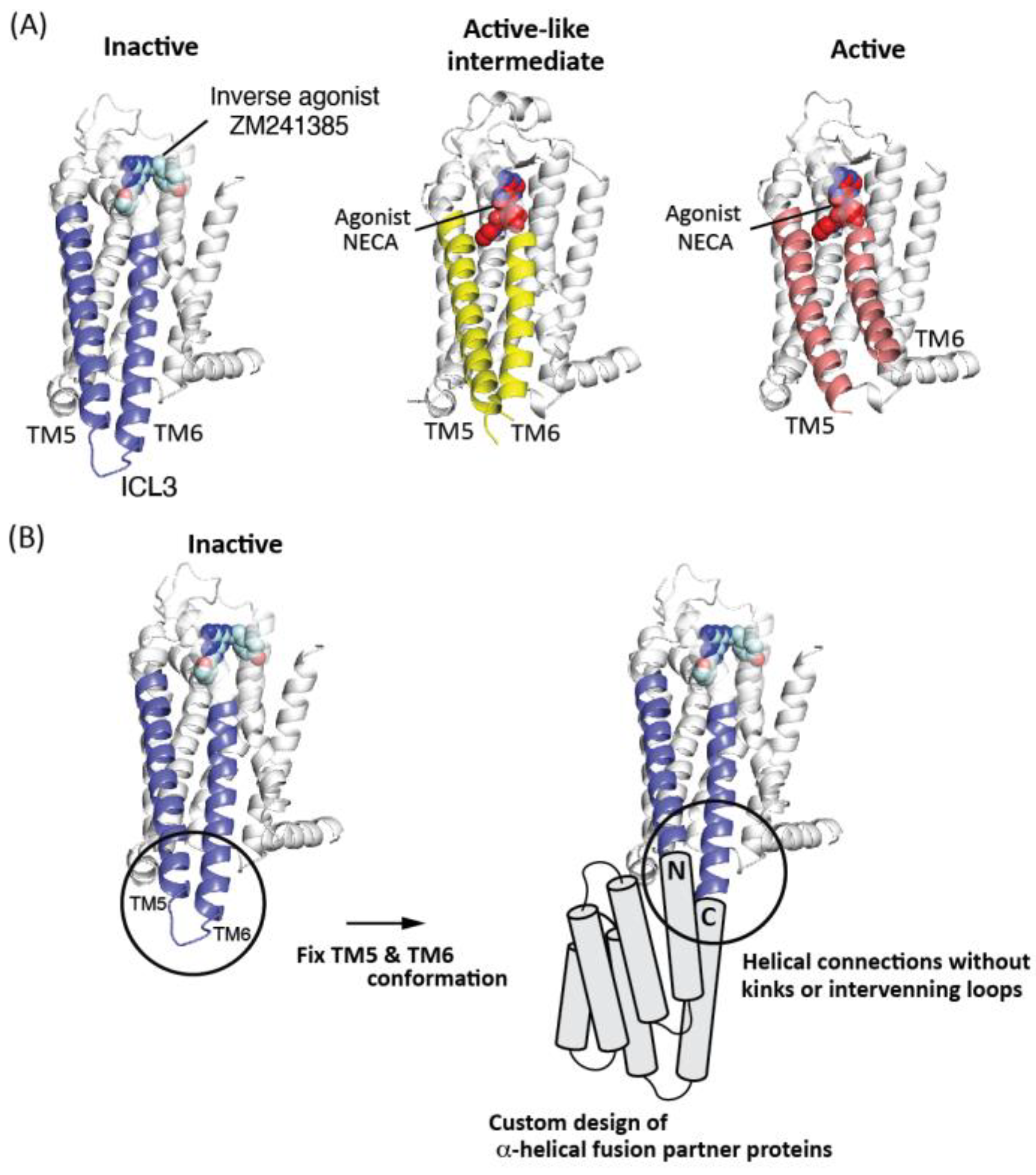 がまかつ　がま磯RECEPTOR−R 2-53 がま磯レセプターⅡ 3-53｜＠ベリーネット 日本最大新品中古釣具