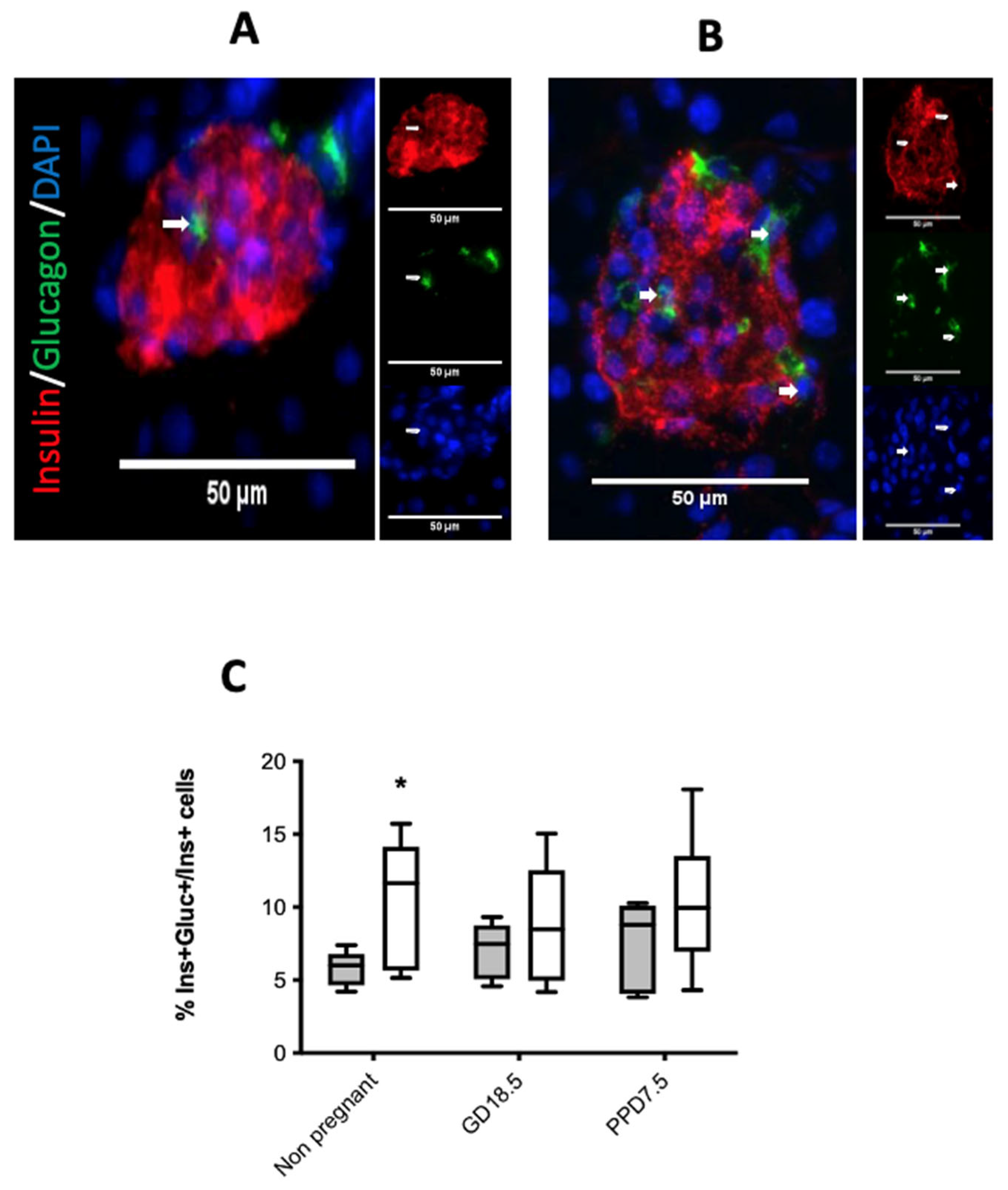 Ijms 22 12914 g005 550