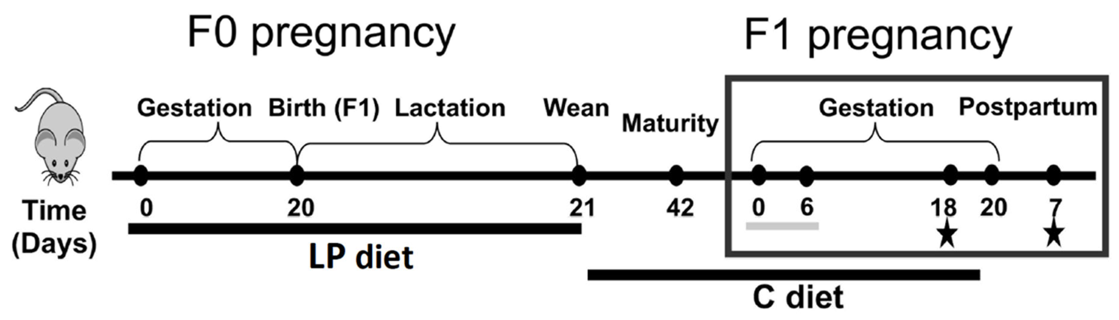 Ijms 22 12914 g009 550