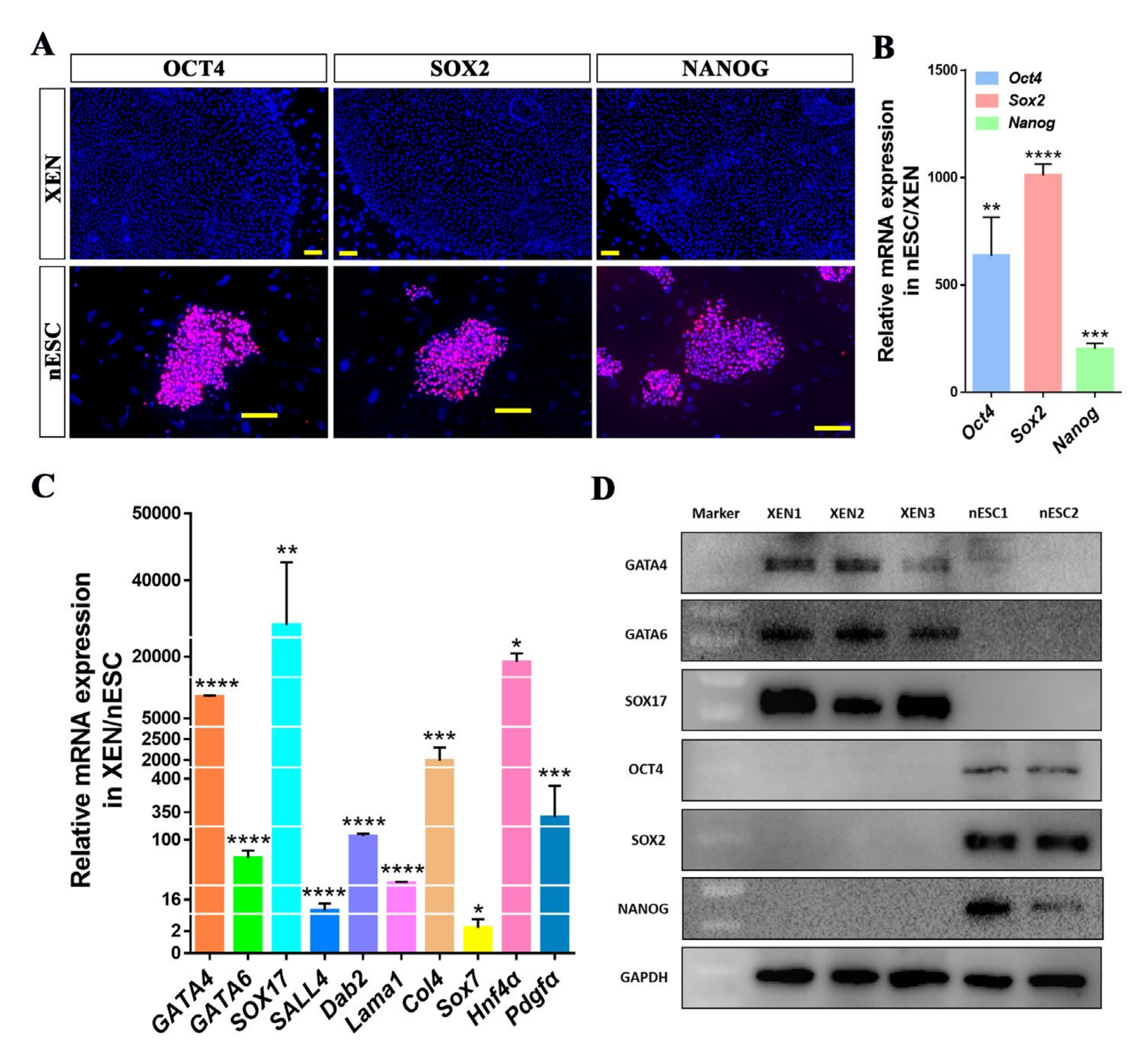 Ijms 22 12918 g002 550