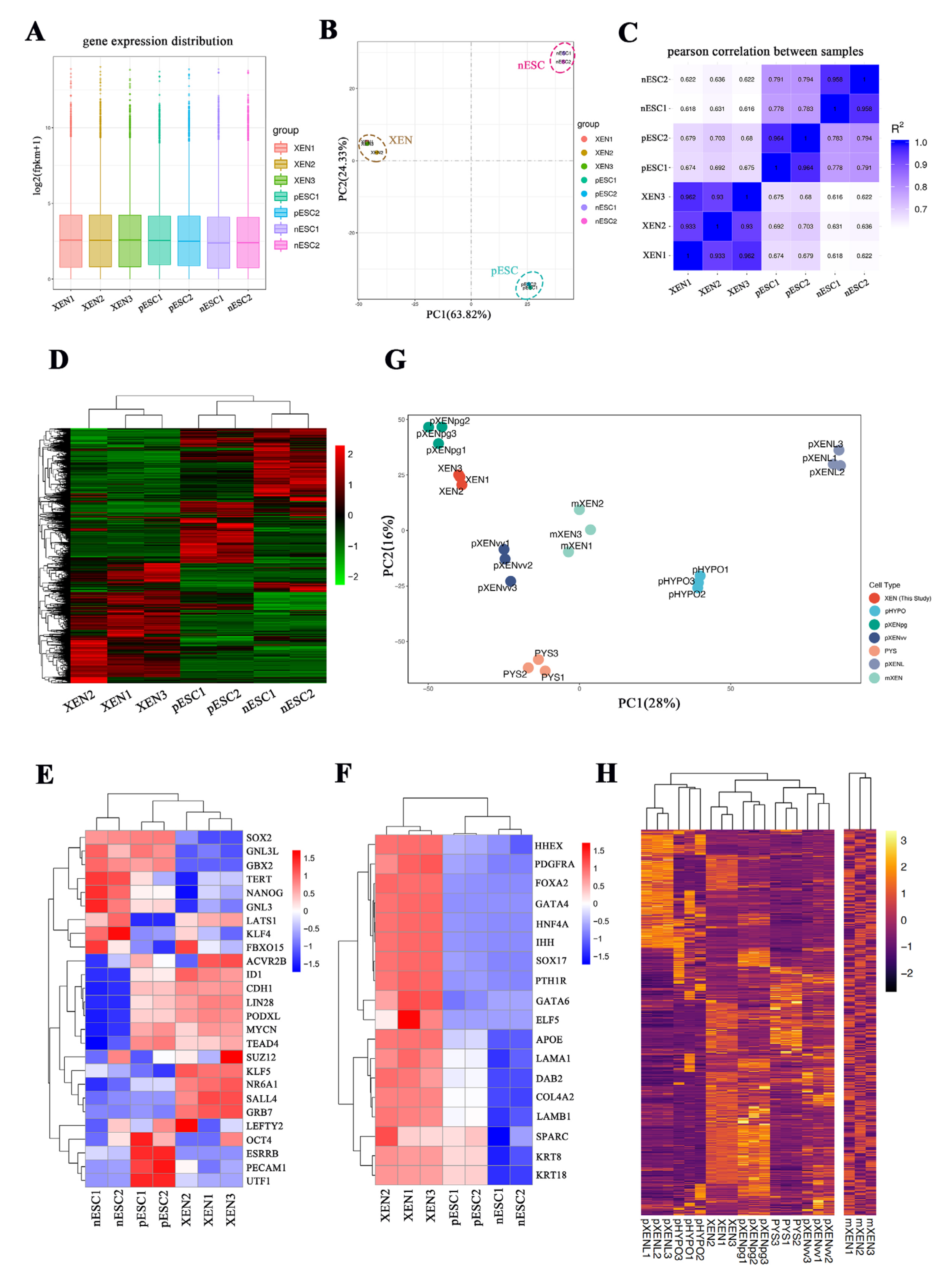 Ijms 22 12918 g007 550