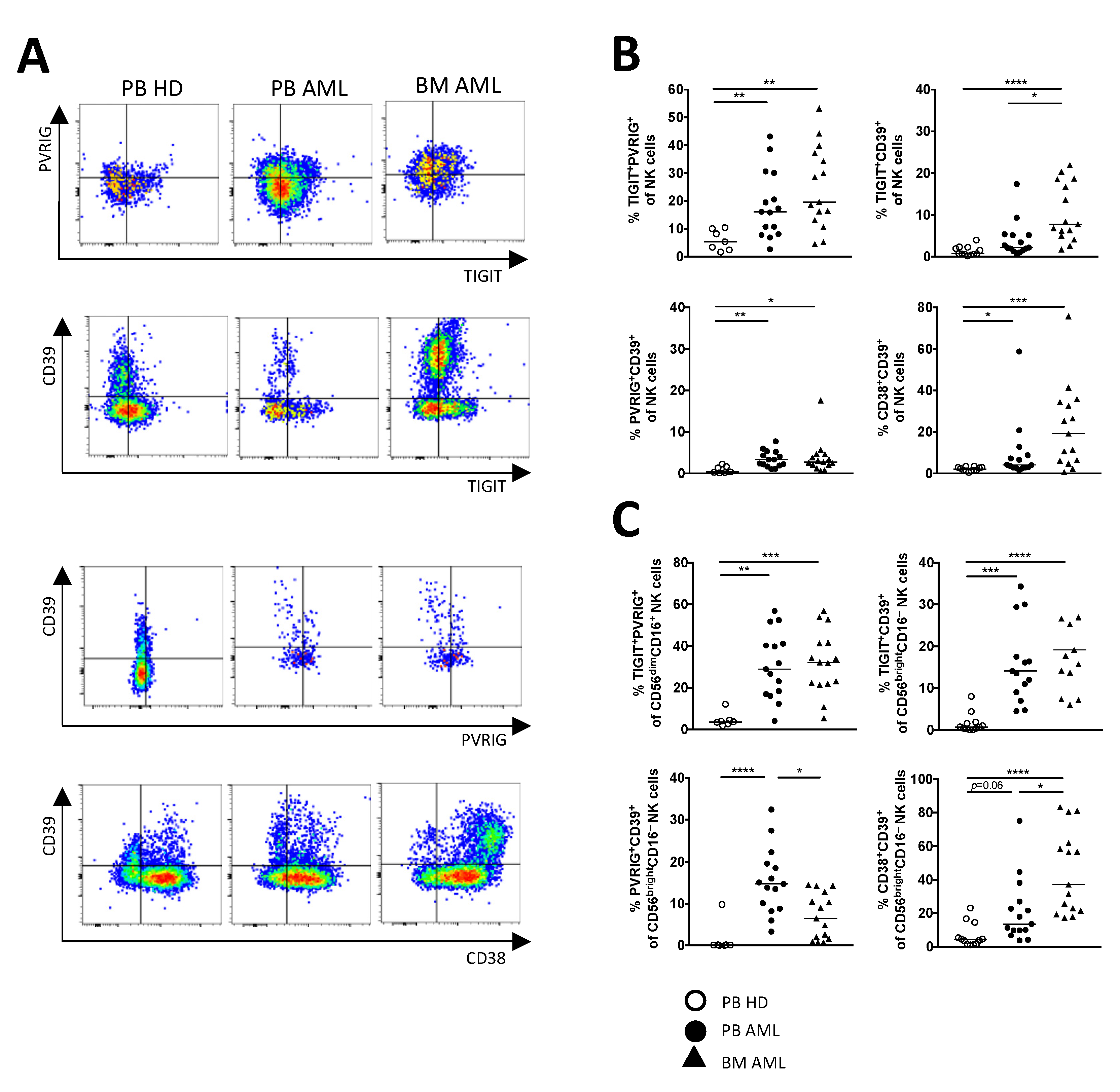 Ijms 22 12919 g004 550
