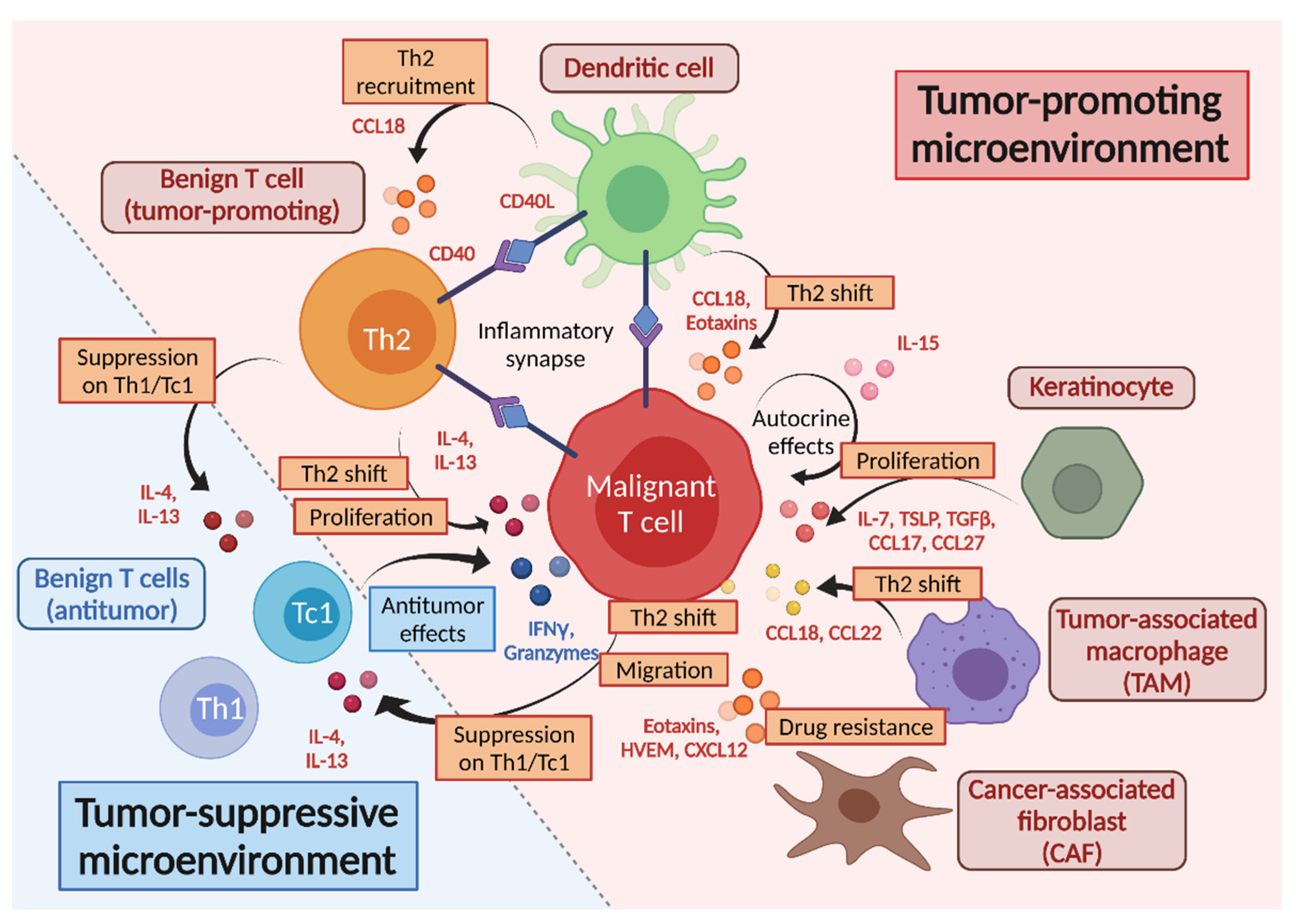 Ijms 22 12933 g002 Ijms 22 12933 g002