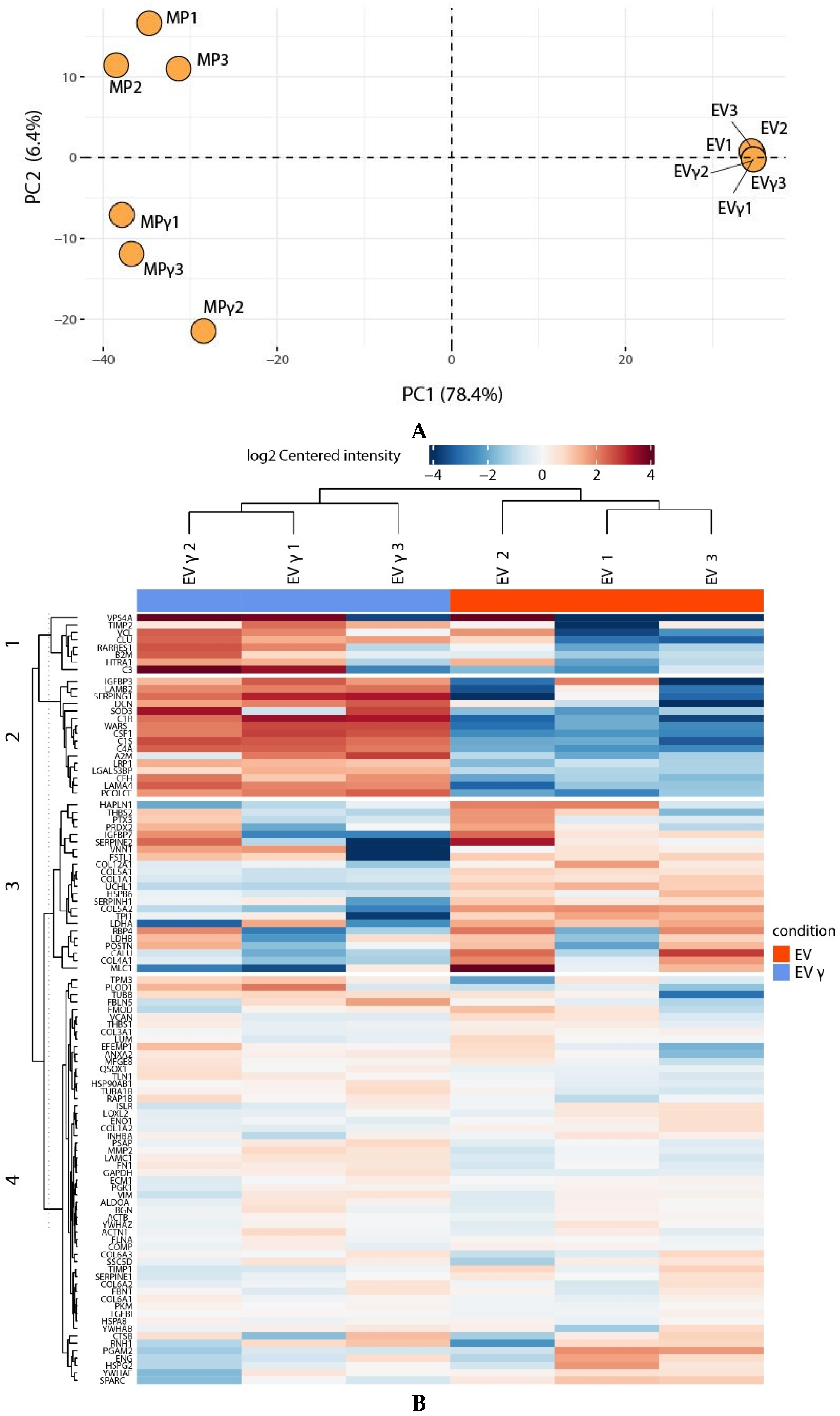 Ijms 22 12935 g004a 550