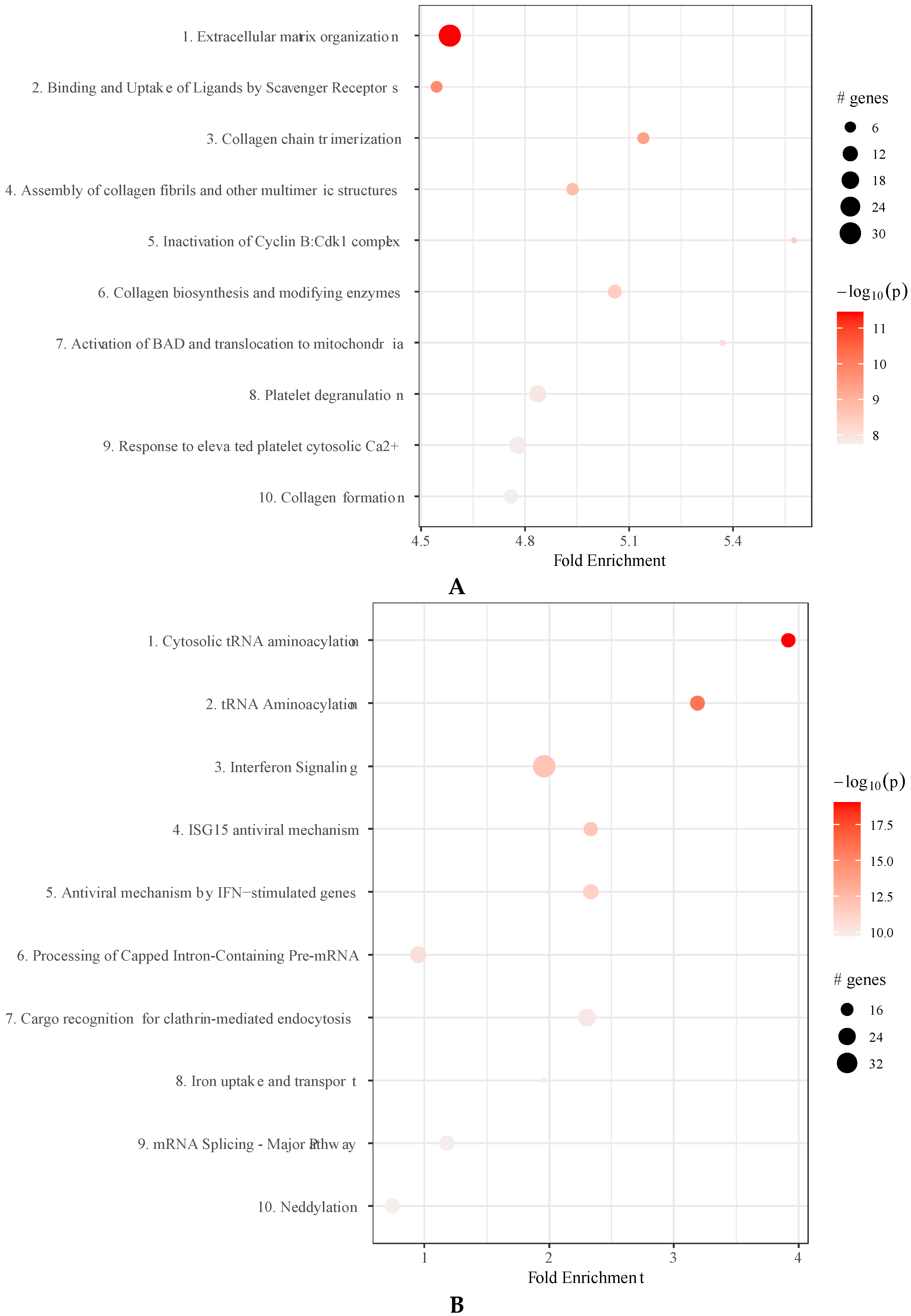 Ijms 22 12935 g005 550