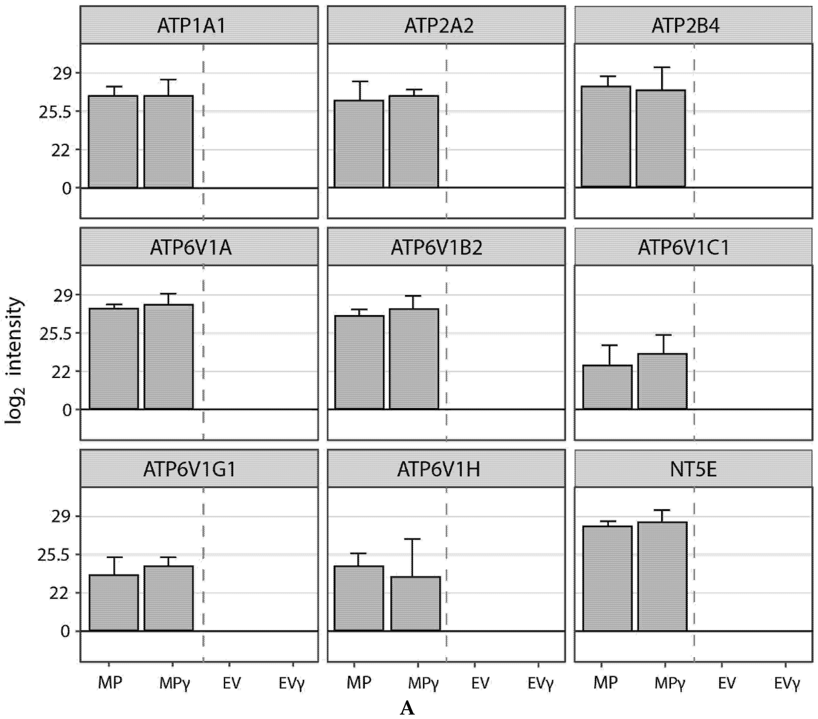 Ijms 22 12935 g006a 550
