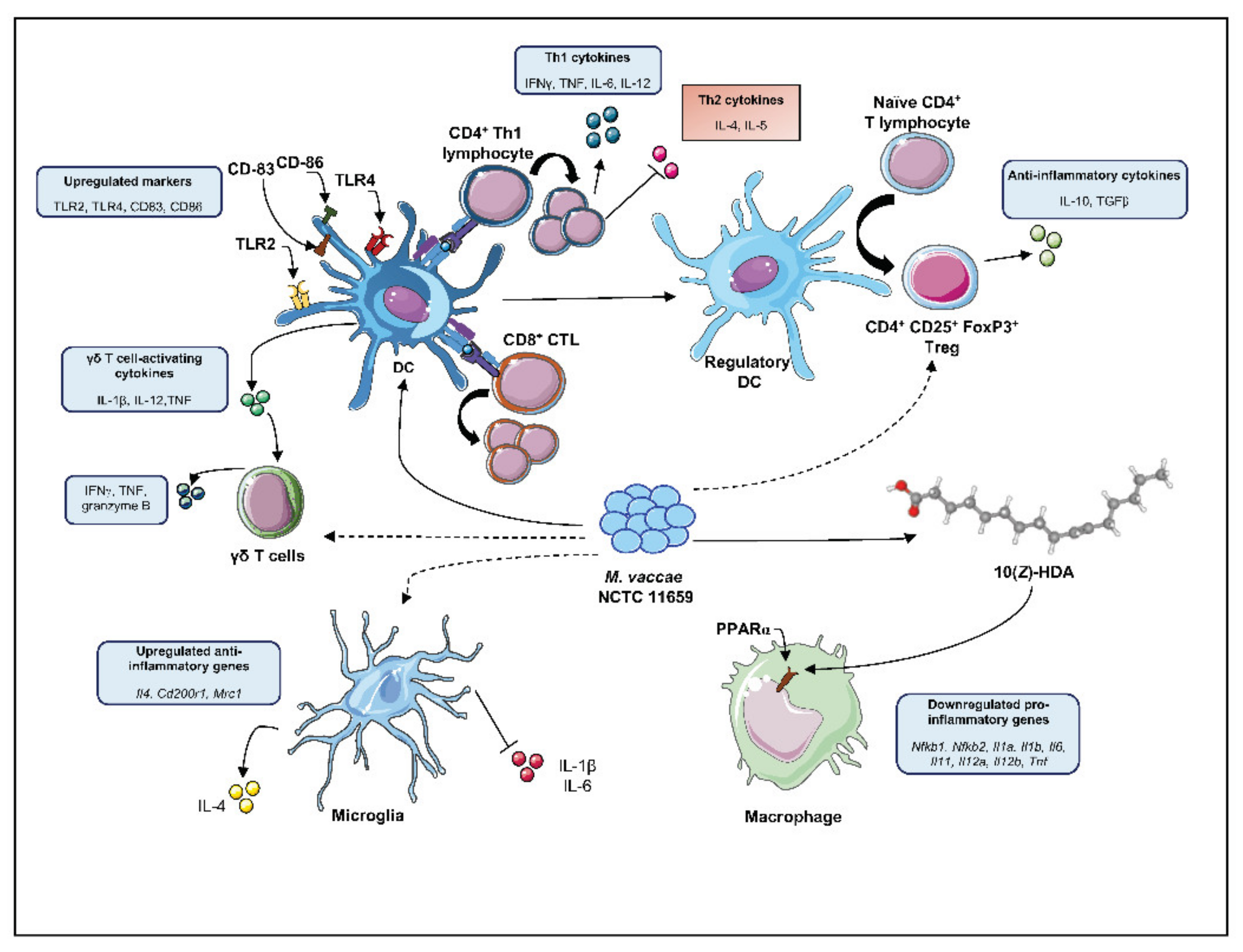 Ijms 22 12938 g001 Ijms 22 12938 g001