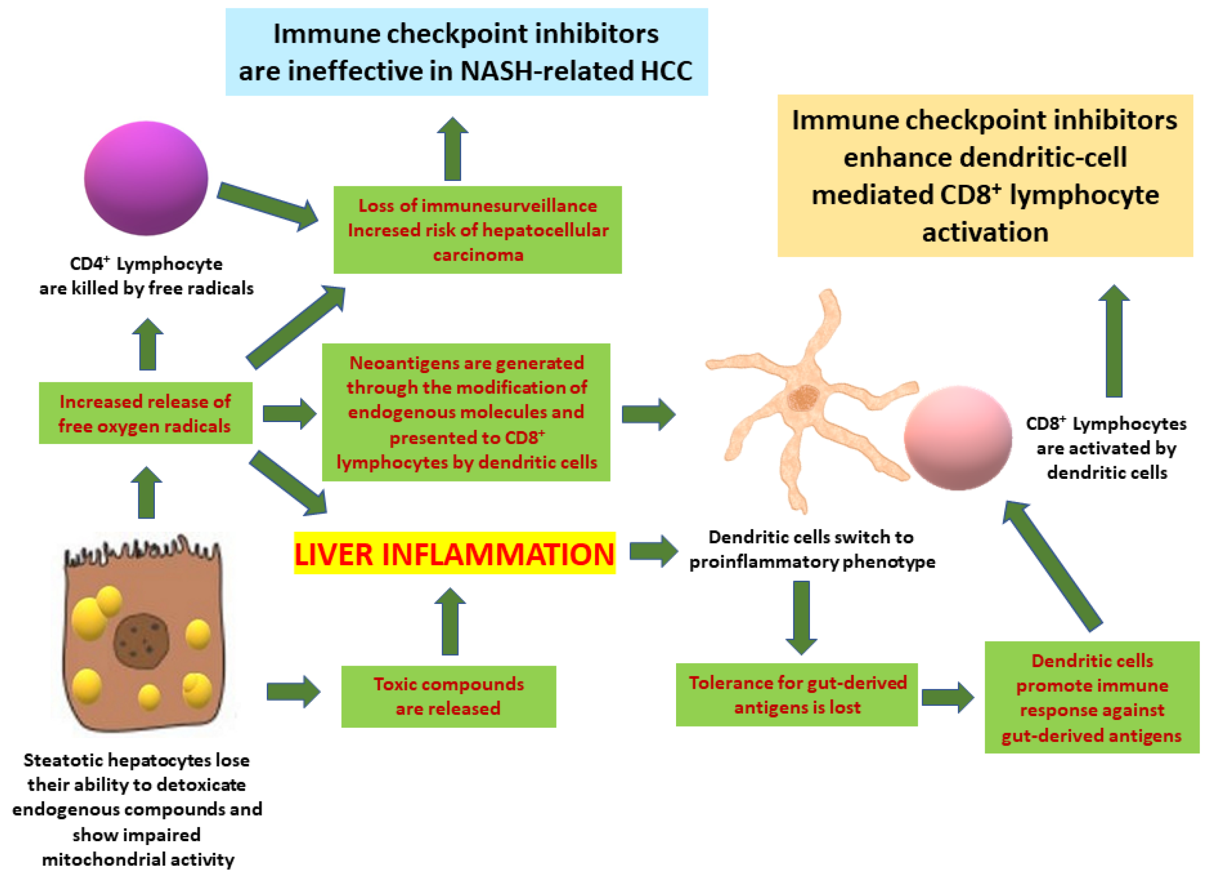 Ijms 22 12947 g001 550