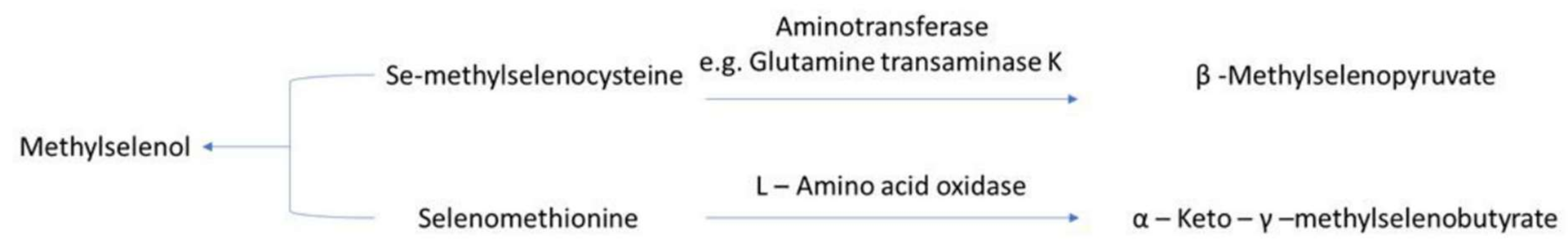 Ijms 22 12952 g003 550