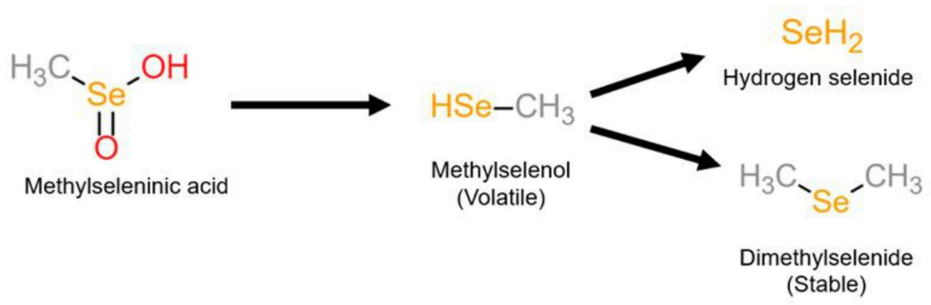 Organoselenium Compounds: Chemistry and Applications in Organic