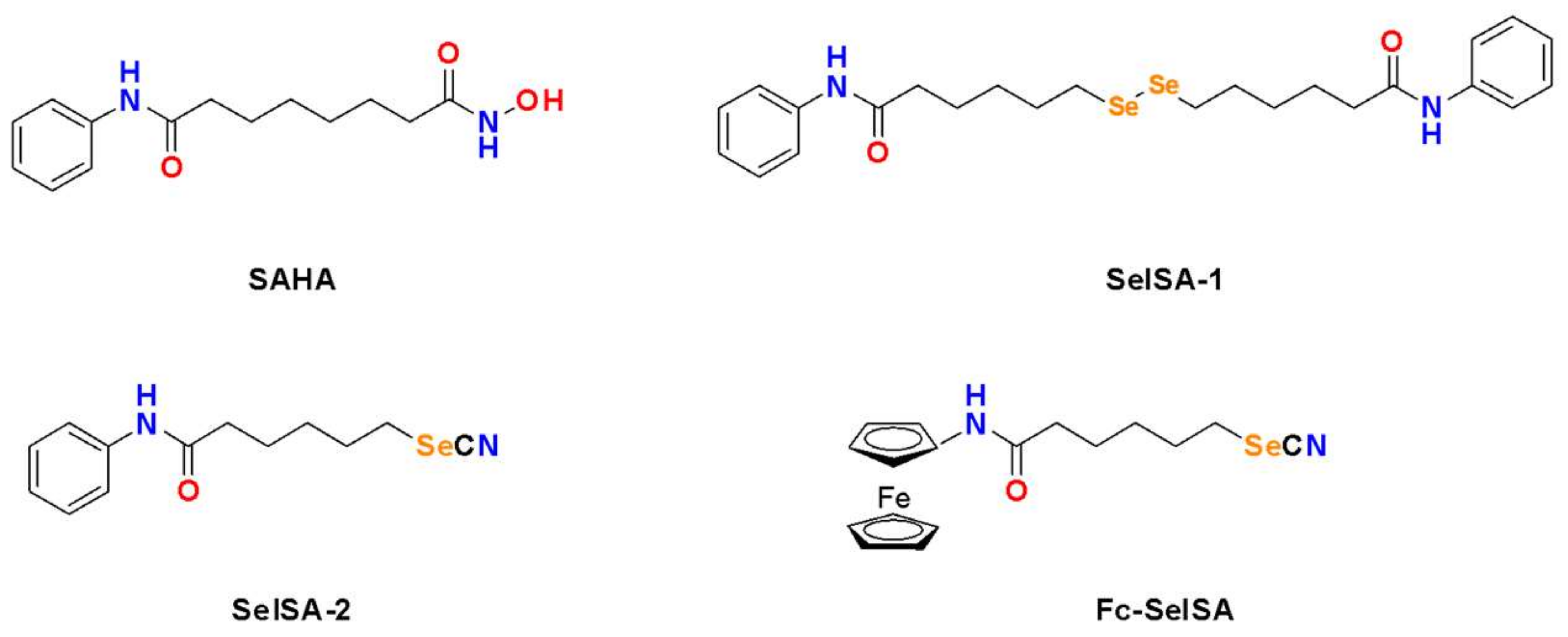 Ijms 22 12952 g005 550