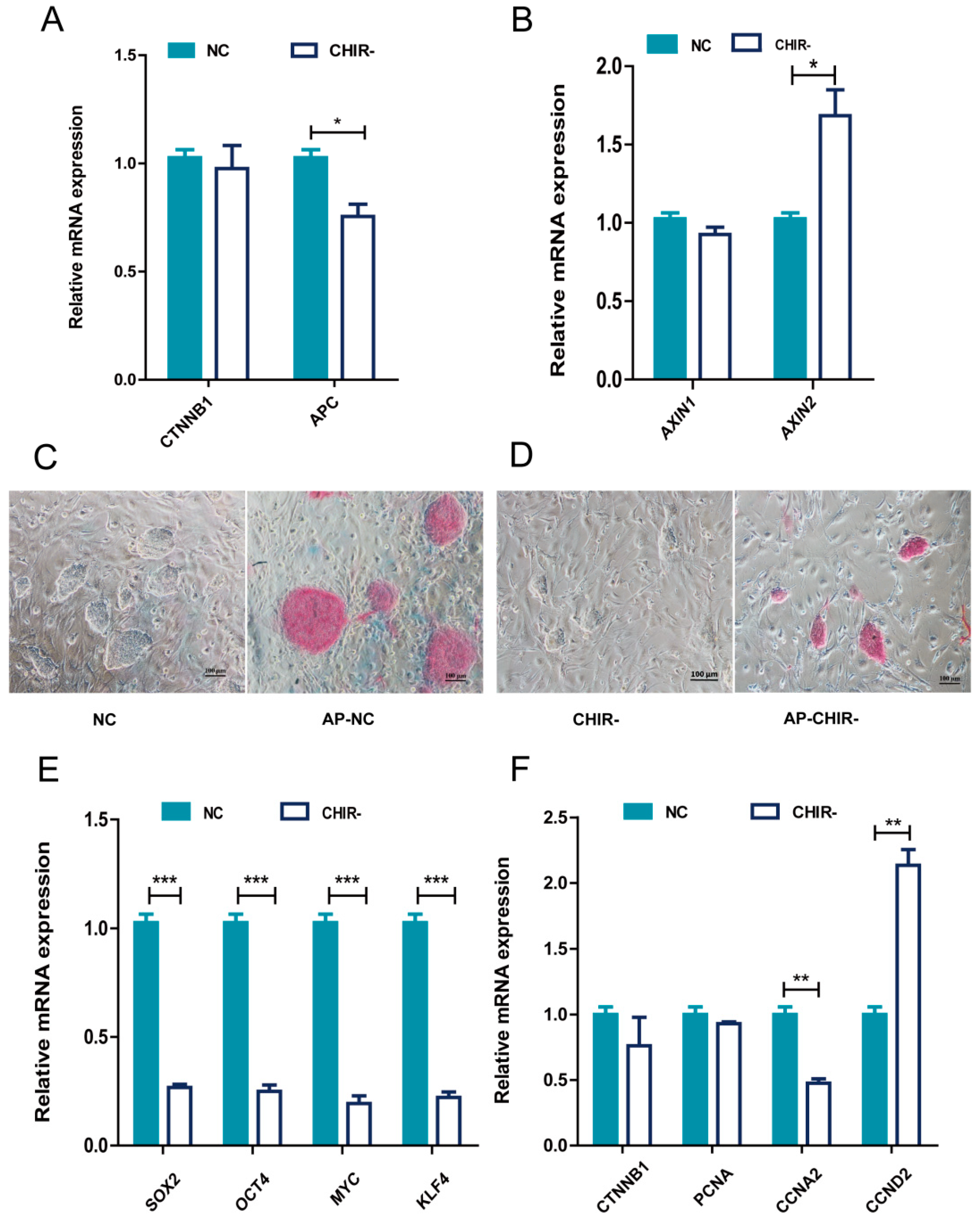 Ijms 22 12954 g001 550