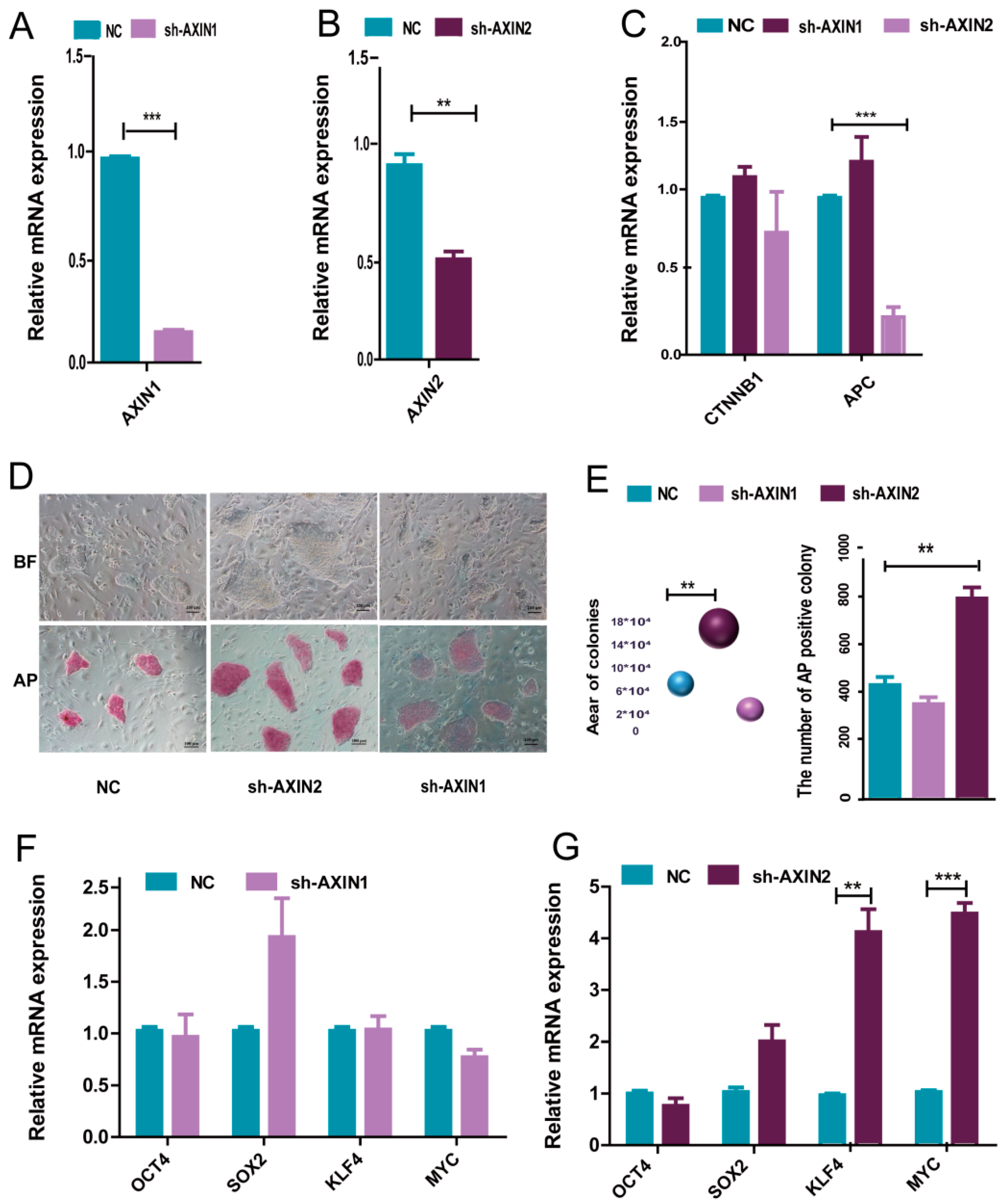 Ijms 22 12954 g002 550