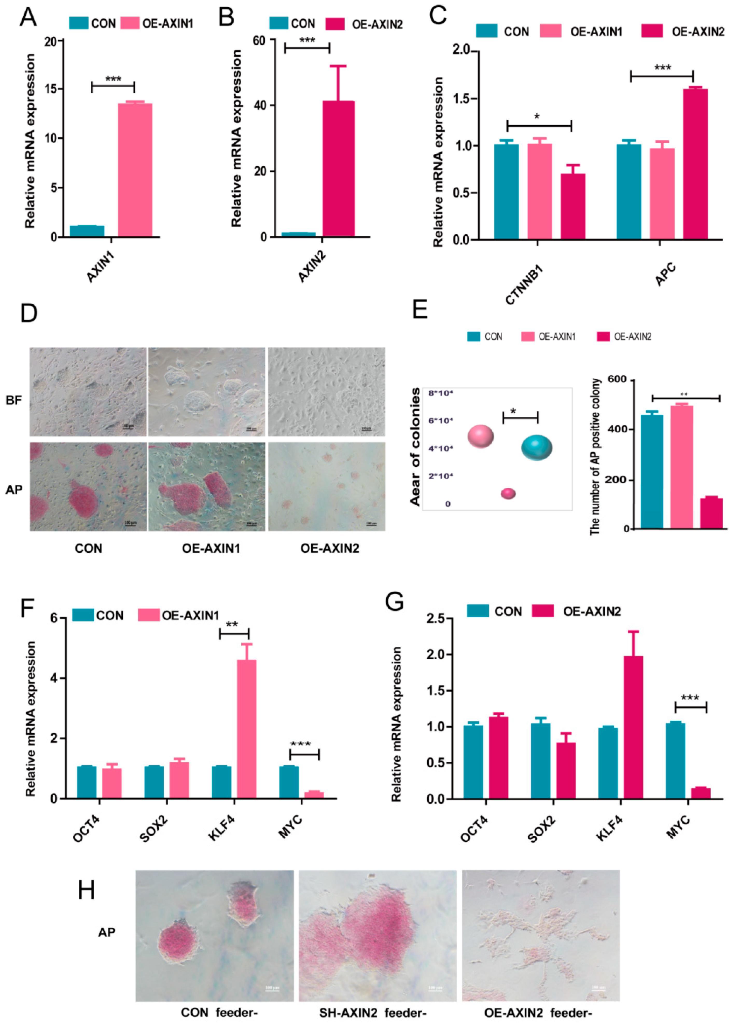 Ijms 22 12954 g003 550