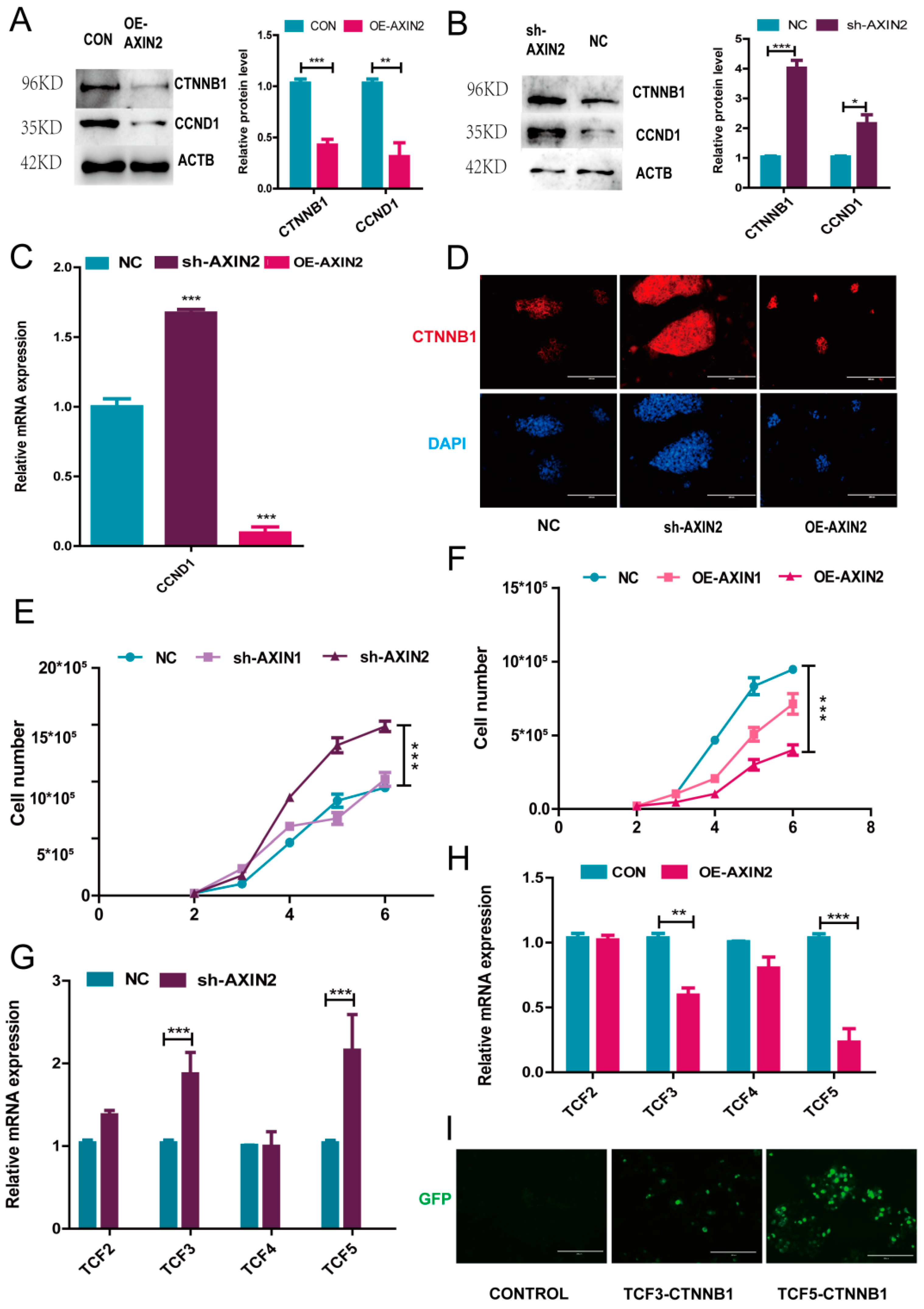 Ijms 22 12954 g004 550