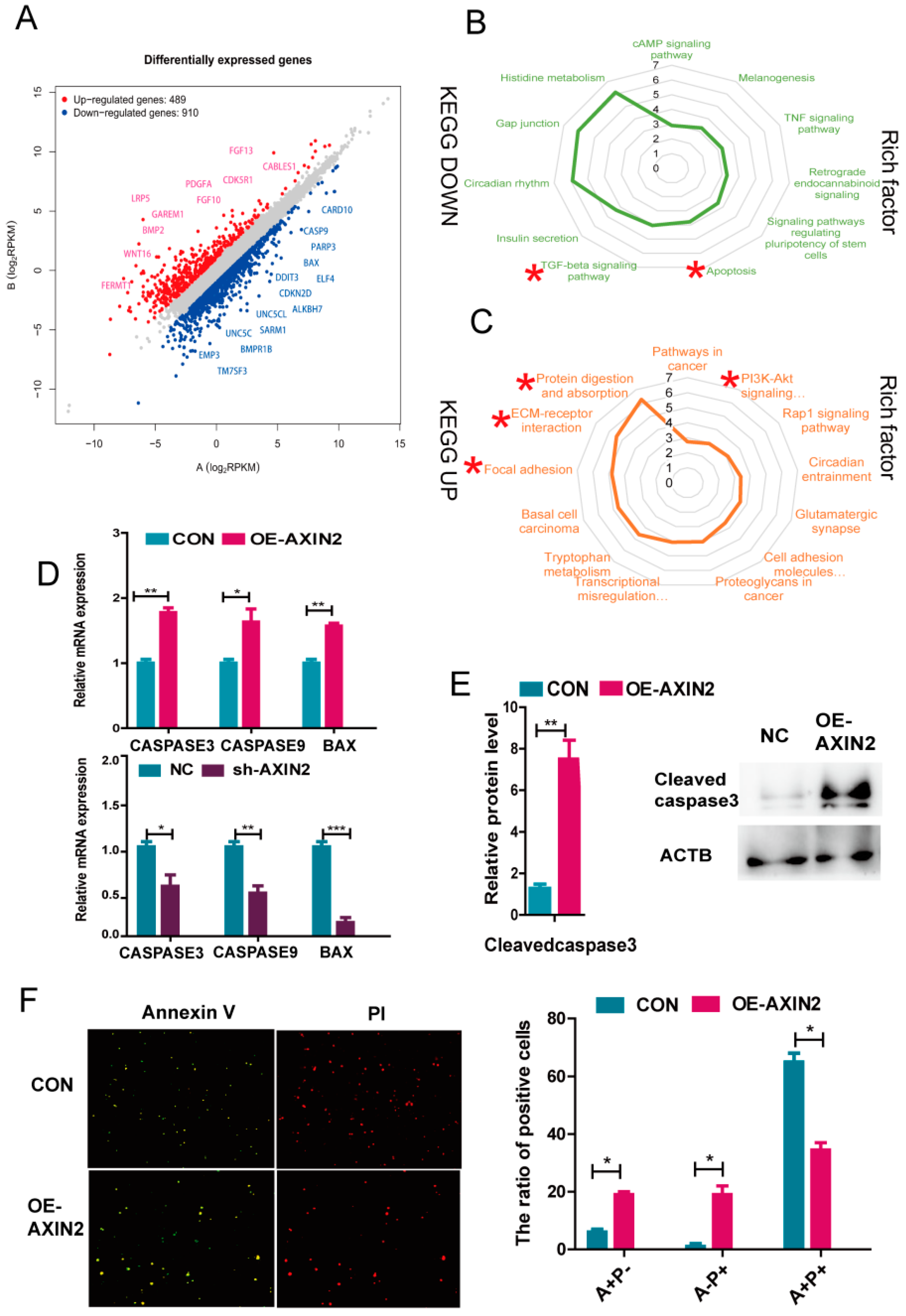 Ijms 22 12954 g005 550