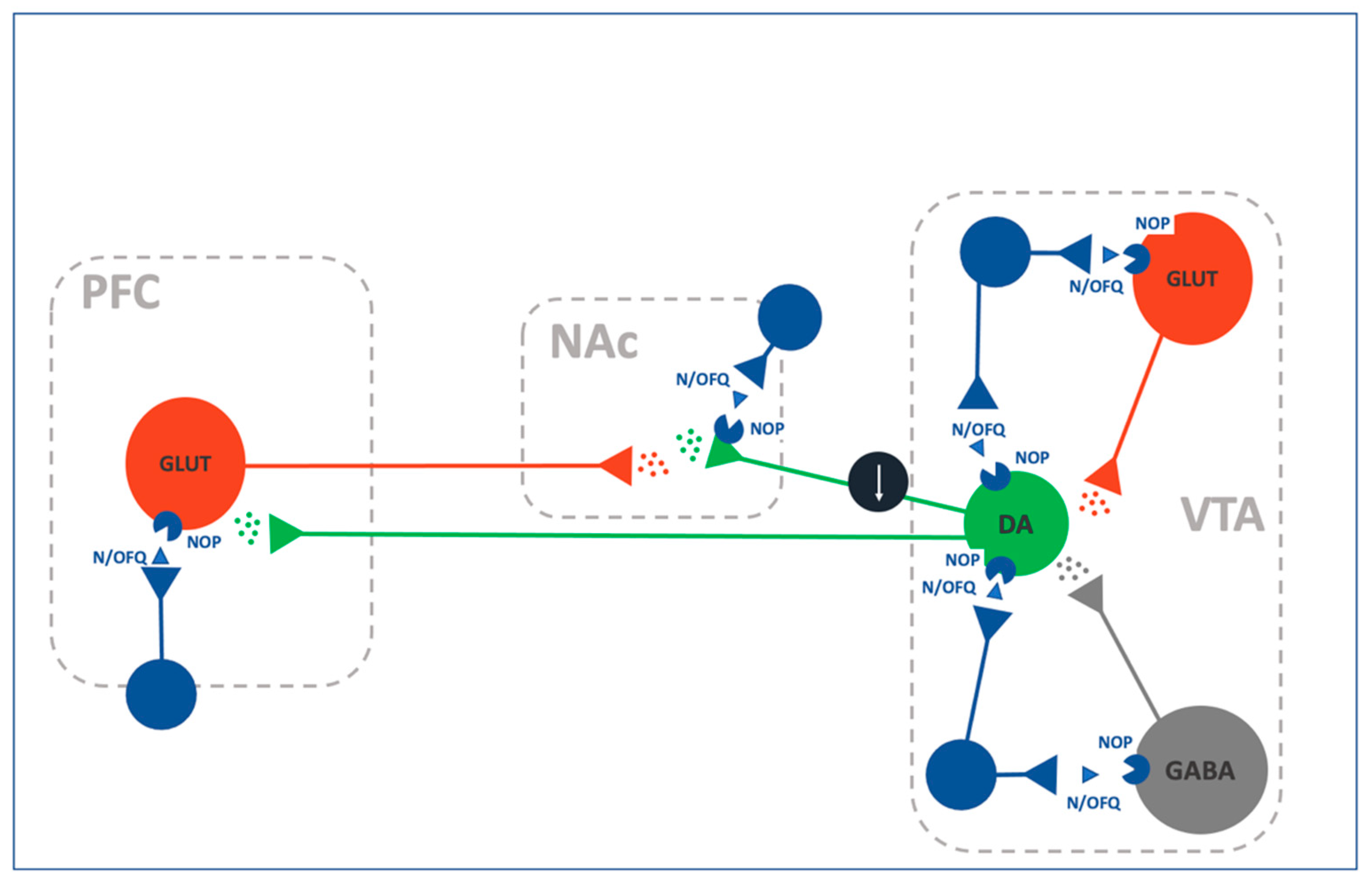 Ijms 22 12956 g001 Ijms 22 12956 g001