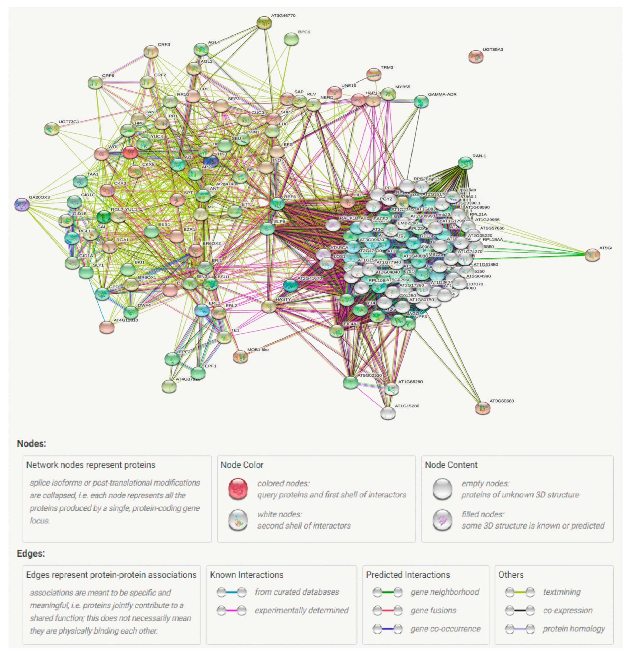 Ijms 22 12965 g003 Ijms 22 12965 g003