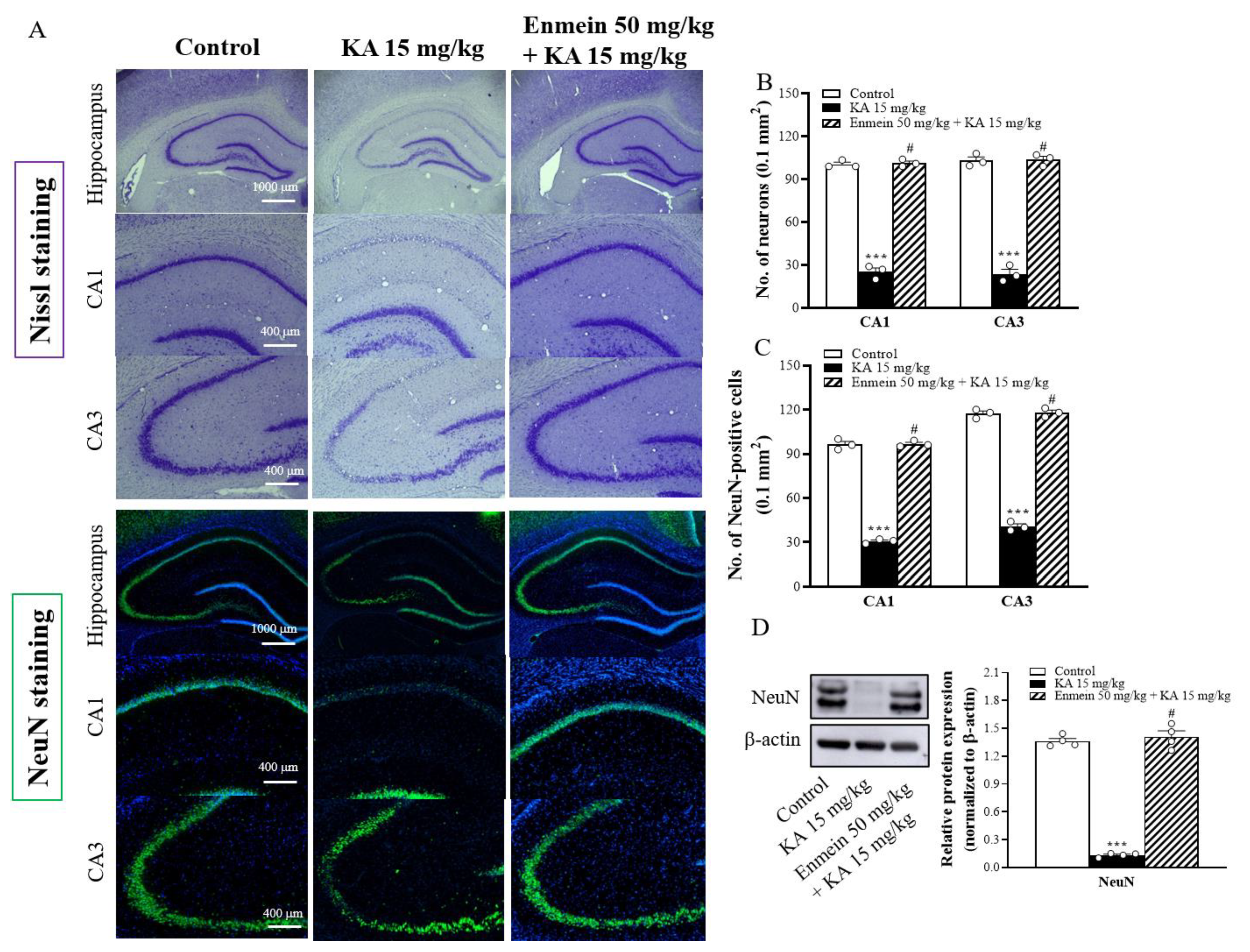 Ijms 22 12966 g005 550